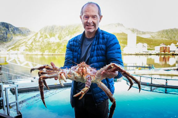 Krabbeprodusenten opplever eventyrlig vekst, men han får ikke tak i norsk arbeidskraft  