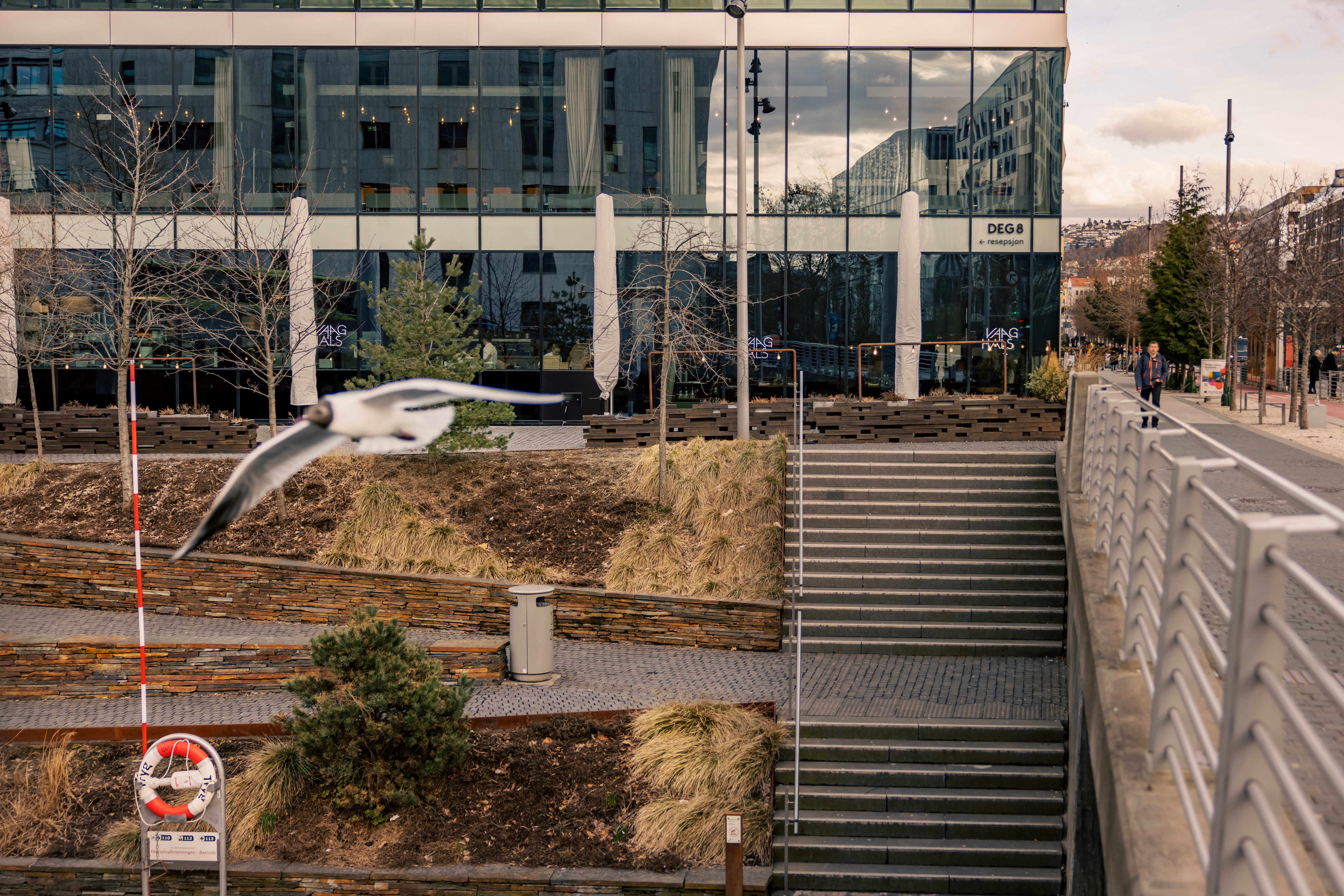 Nasjonalromantisk i asfaltjungelen