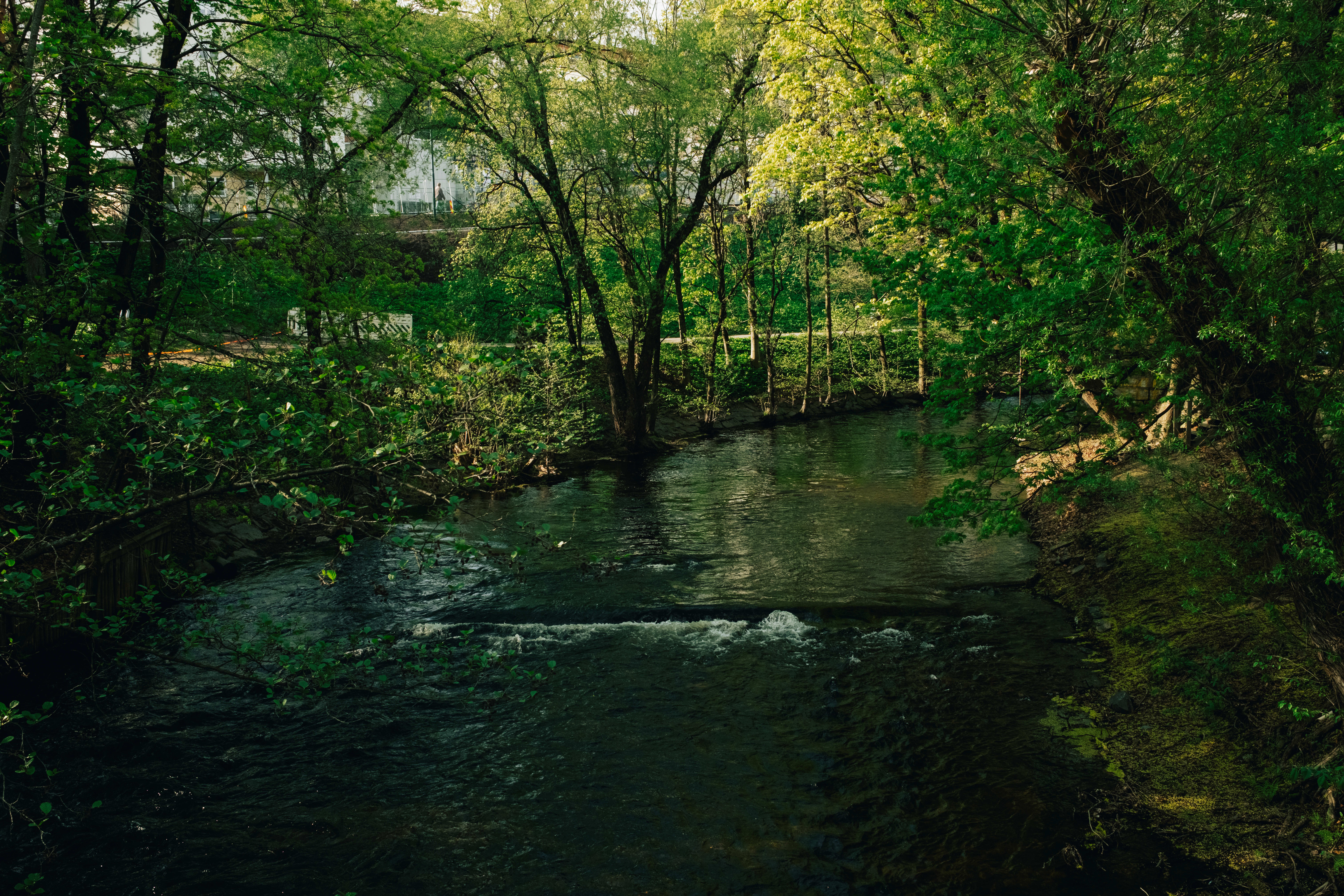 Skjulte badeplasser i Oslo