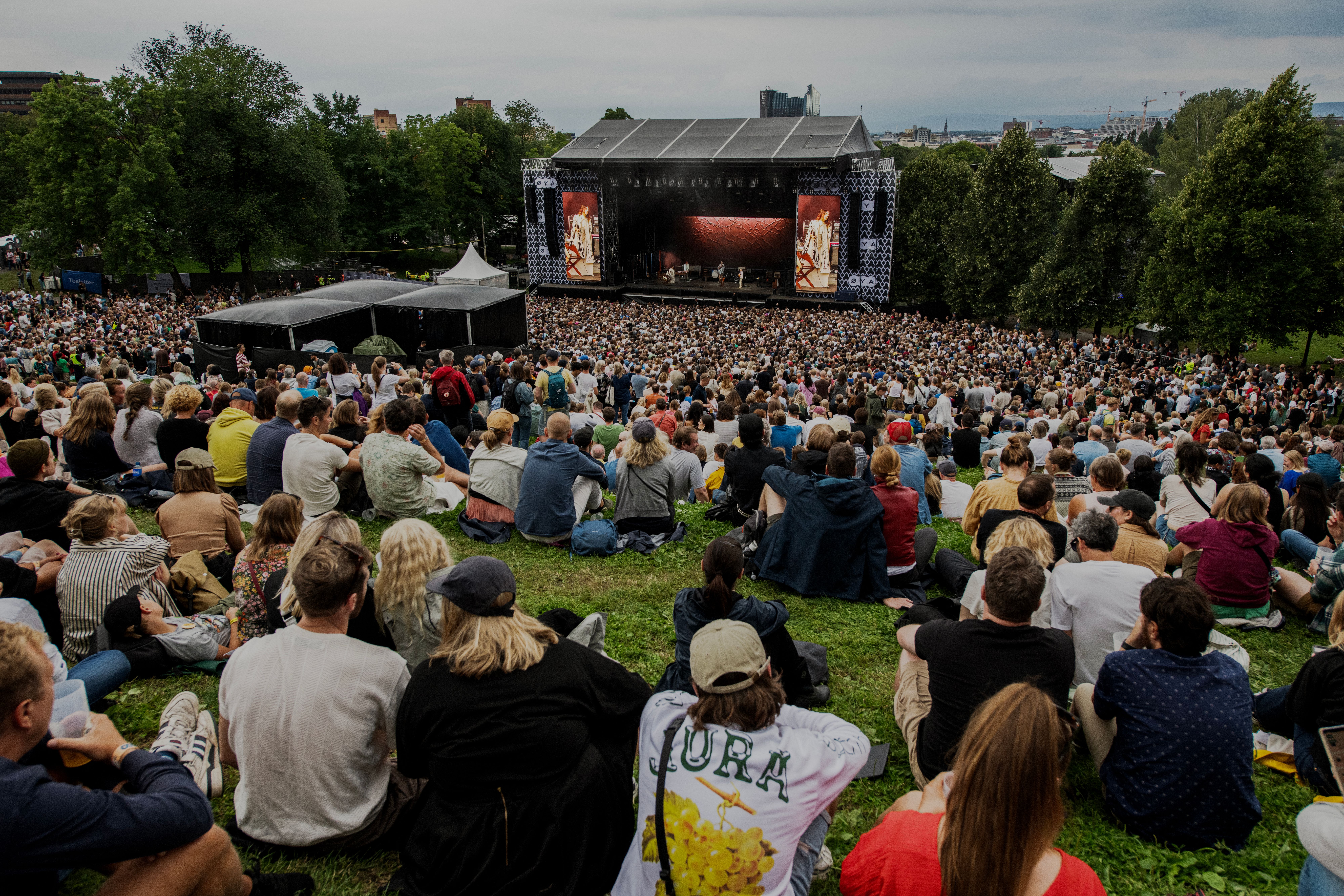 Amfiet koste seg under PJ Harvey.