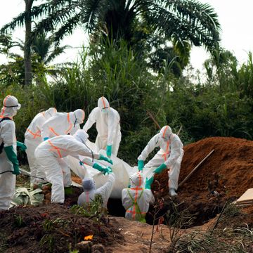 WHO: Ebolautbruddet i Kongo er en global krise