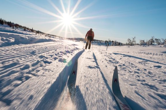 Her er fem fine og lette skiturer i Oslo