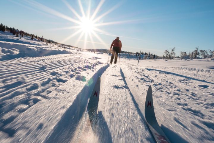 Her er fem fine og lette skiturer i Oslo