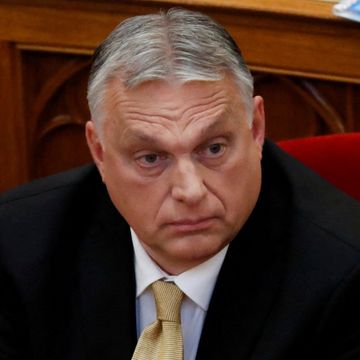 Orban advarte mot raseblanding. Nå går rådgiver av.
