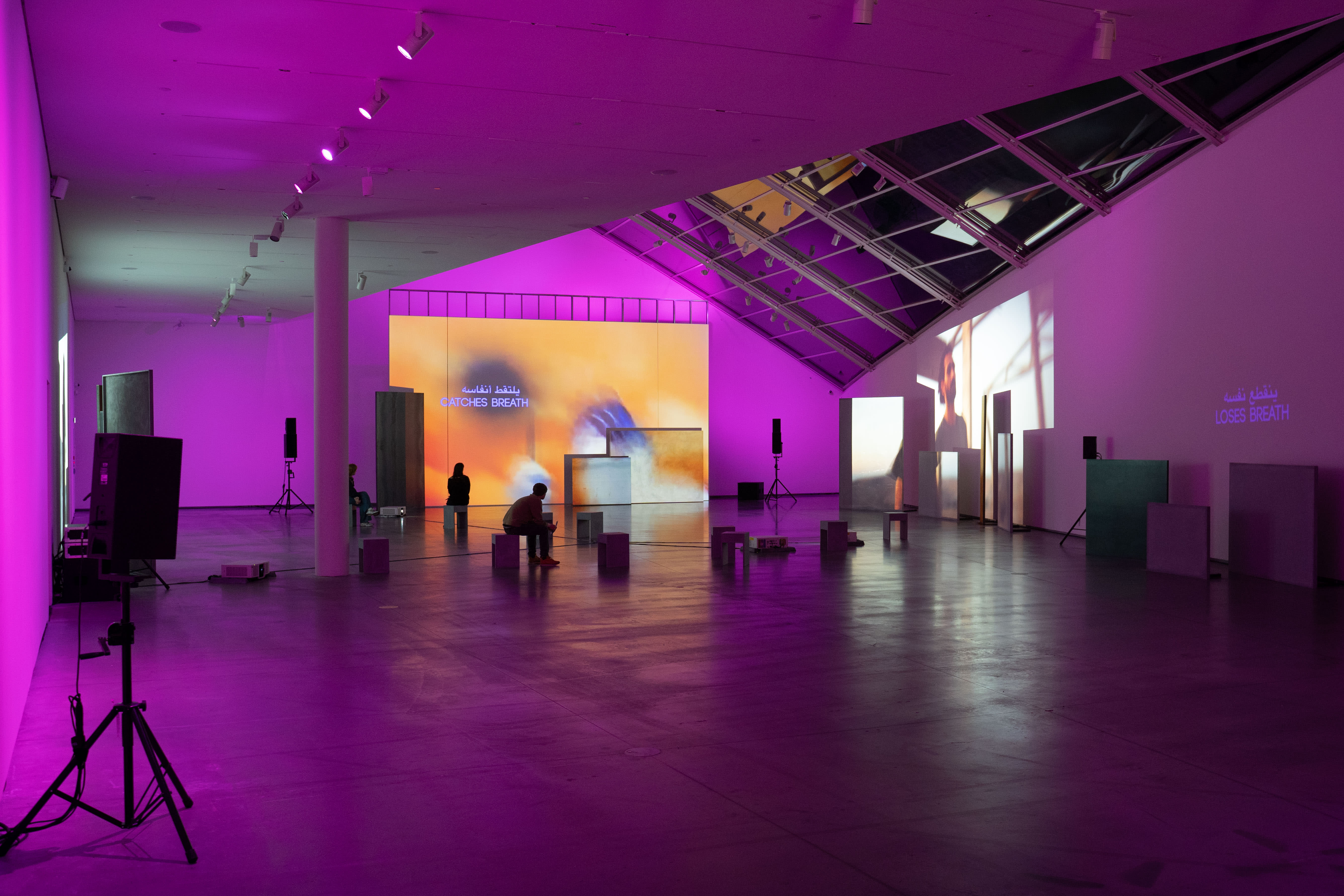 Herlige gråværsperler i sommerparadiset