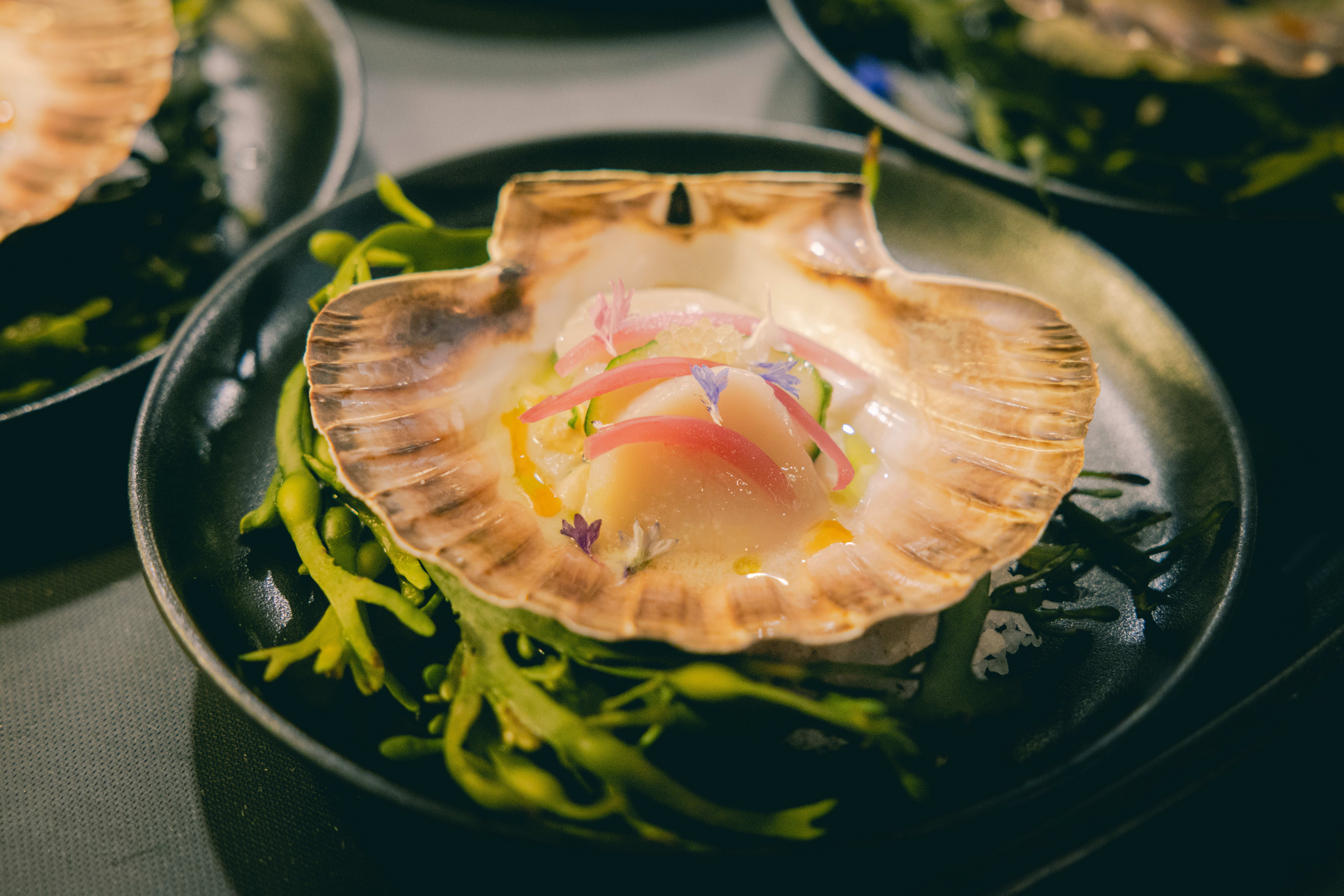 «Kamskjell ukokt curry» kalles denne retten, som var en vellykket kominasjon av norske råvarer, indiske krydre og grønnsaker typiske for Mexico (avokado og mais). 