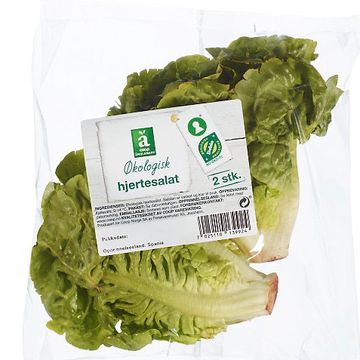 Coop etterlyser salat-kunde etter salmonella-alarm
