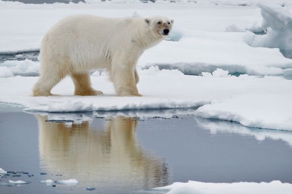 Dramatiske forskningsfunn: Nordpolen smelter uansett hva vi gjør med utslippene