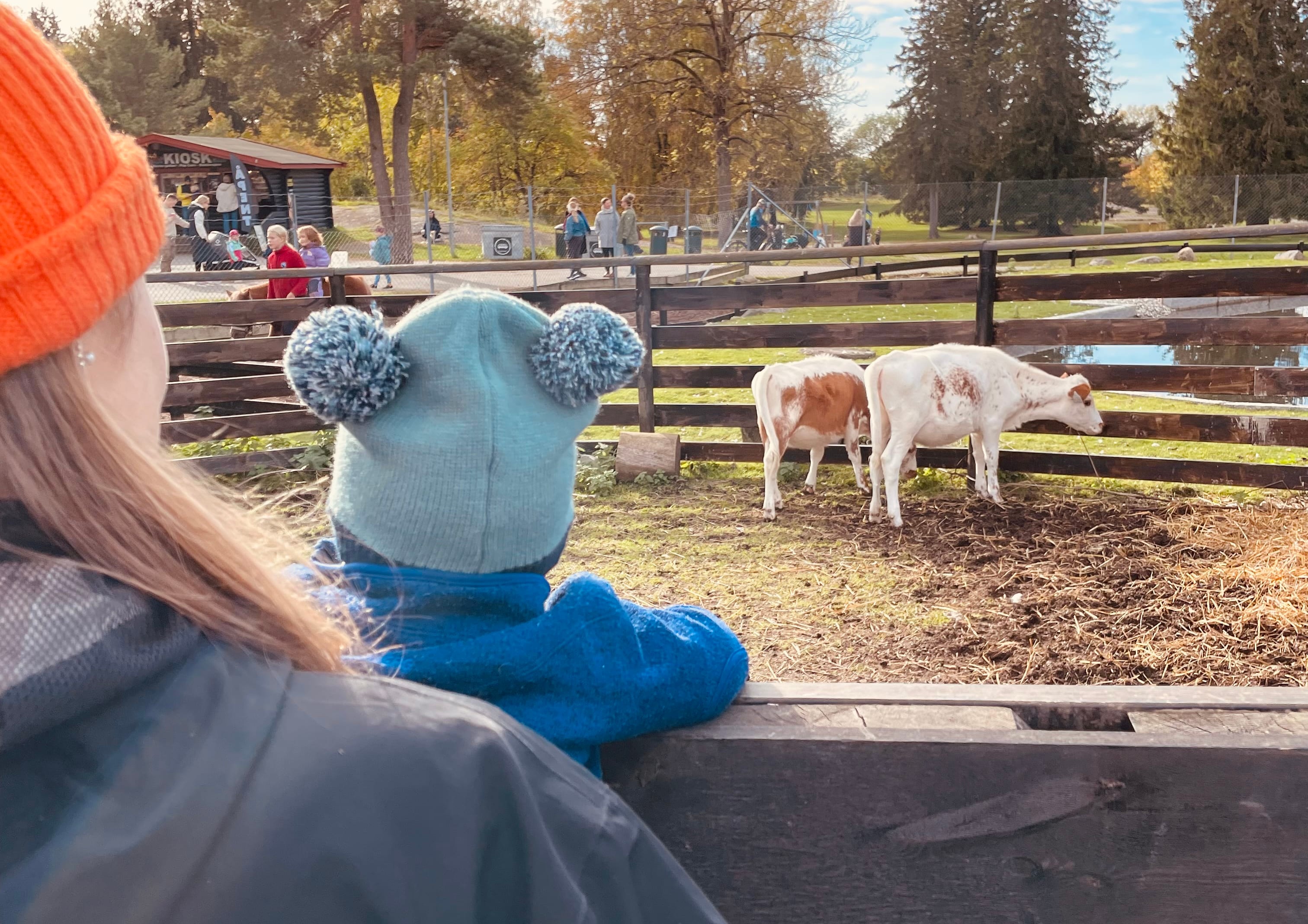 Barn i alle aldre kan få nære opplevelser med husdyr på EKT Familiegård. 