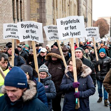 Arrangørene venter flere tusen deltakere i ulvedemonstrasjon i Oslo 