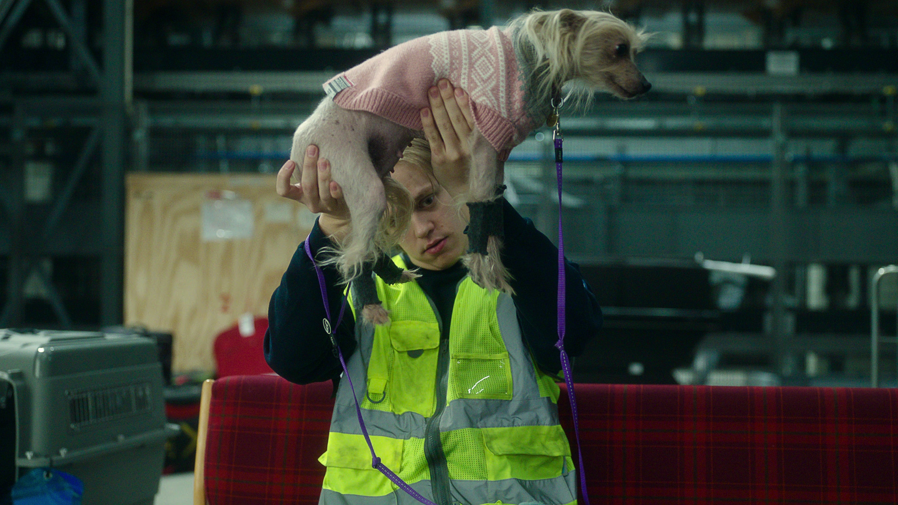 Valter Skarsgård og en forlatt hund.