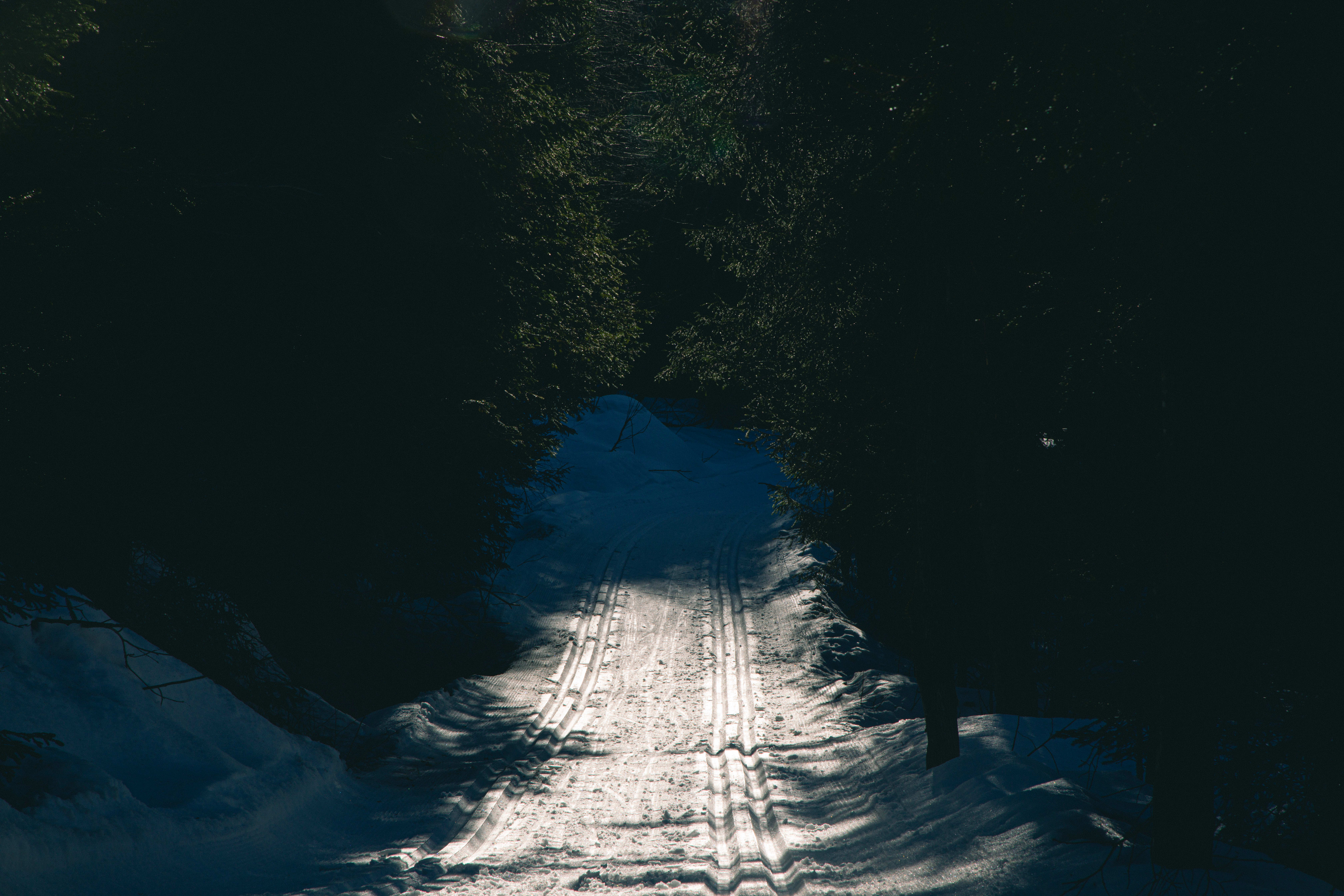 Lillomarka er litt trolsk den også.