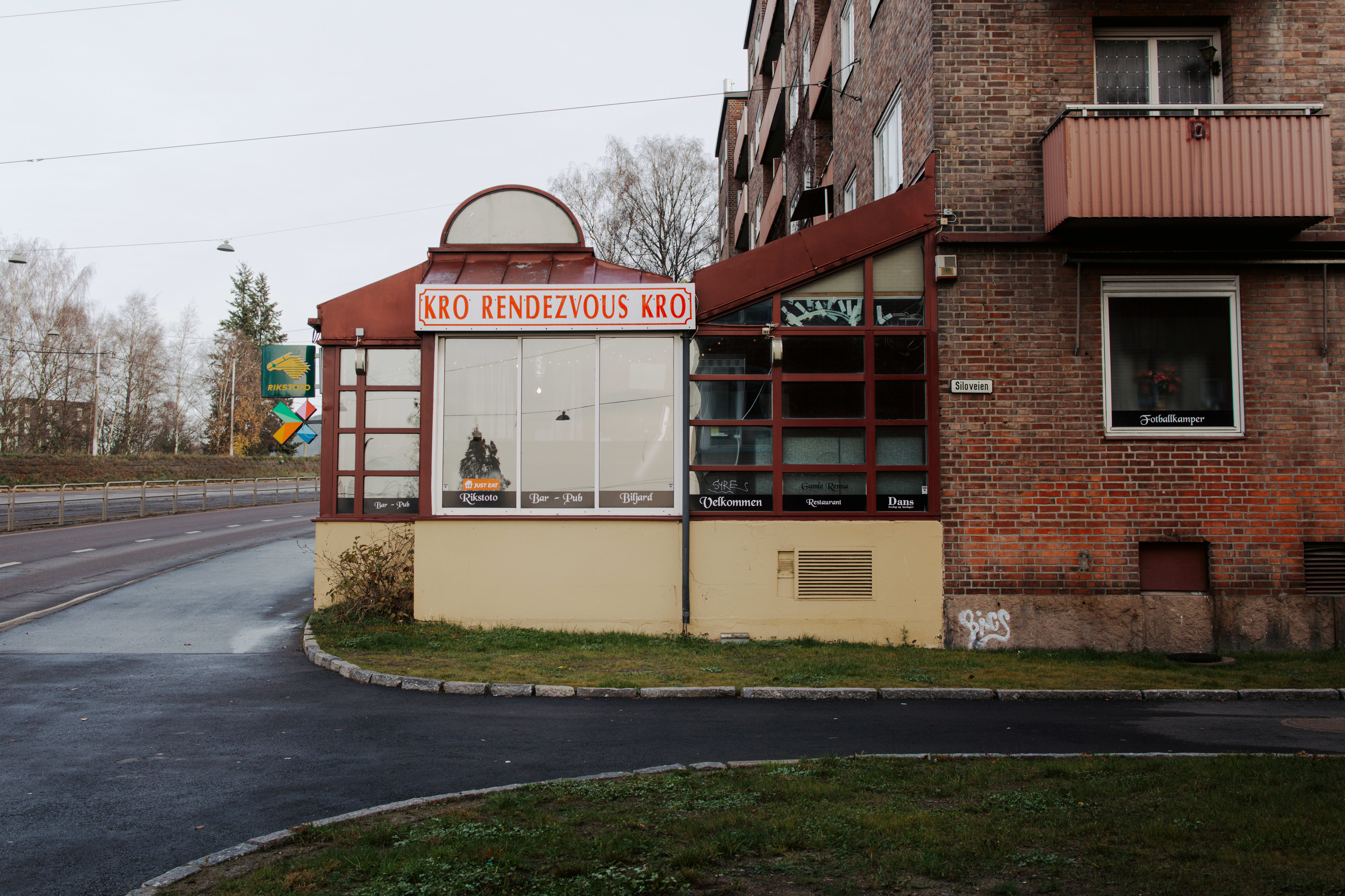 30 brune barer du må vite om i Oslo