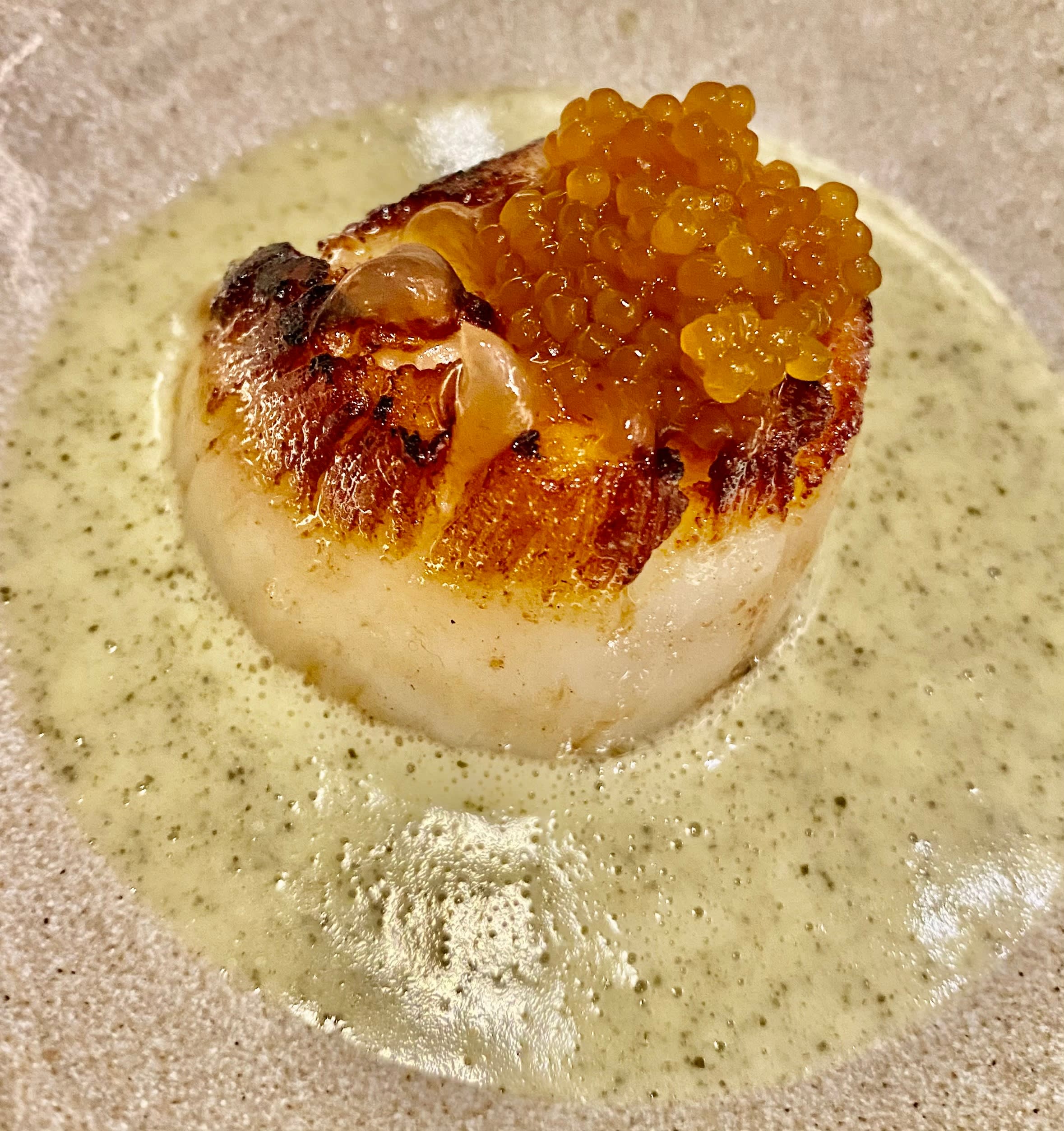 Stekt kamskjell fra Frøya i en smørsaus med tang.