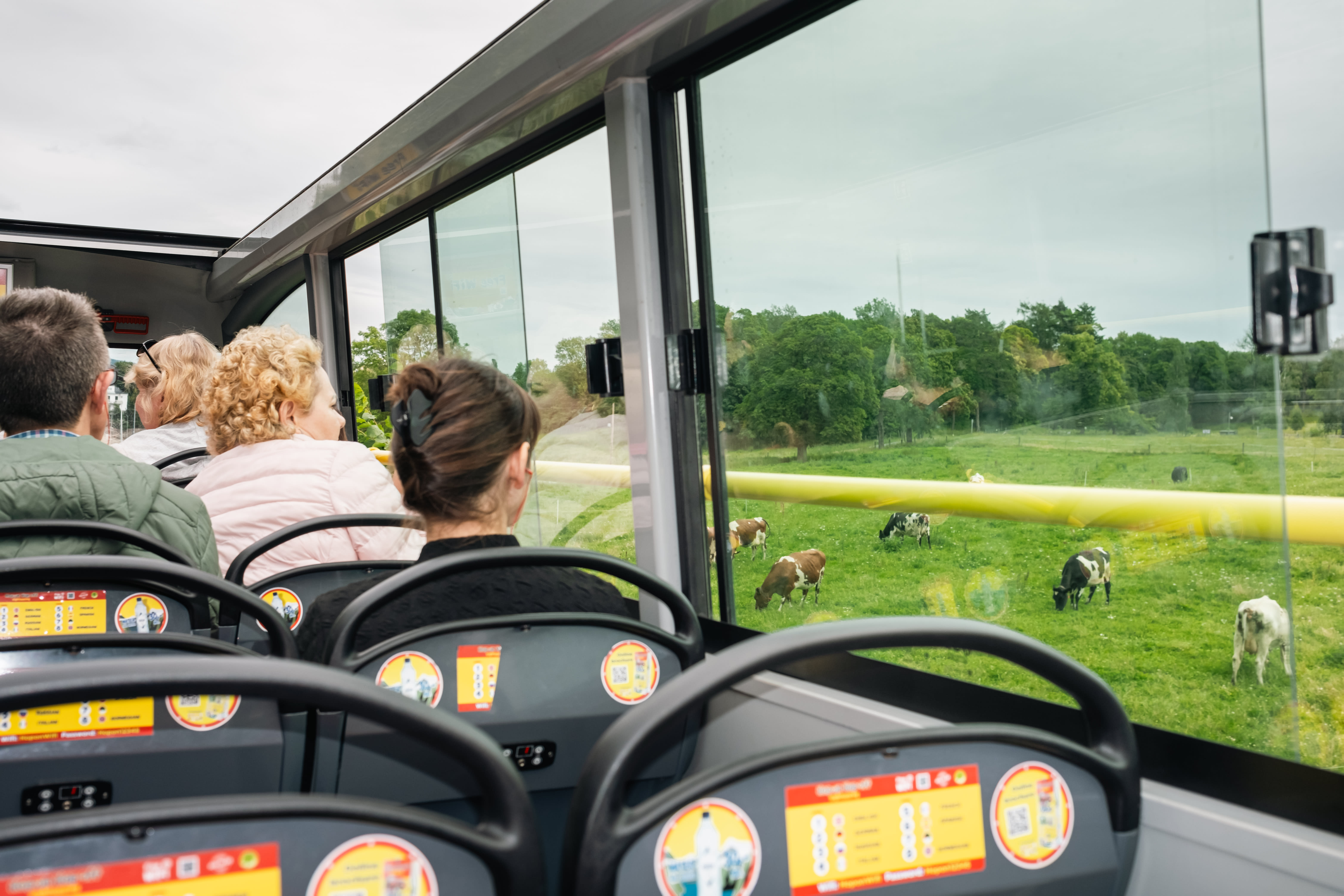 Kongens kuer er et velkomment skue. 