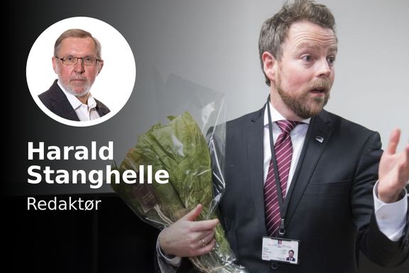 Harald Stanghelle: «Ingen seriøs styreleder kan akseptere å bli overkjørt av næringsministeren» 