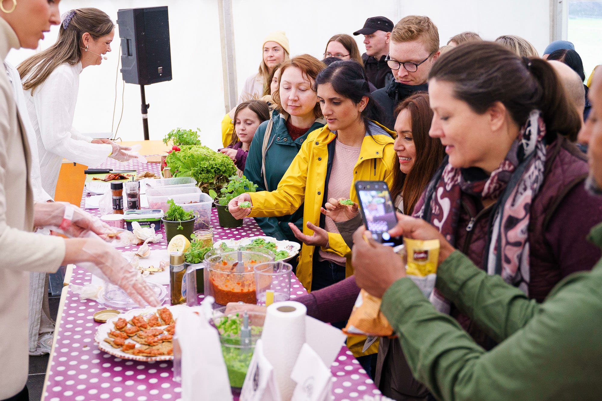 Gatefest, veggisfestival og teatersuksess på Salt
