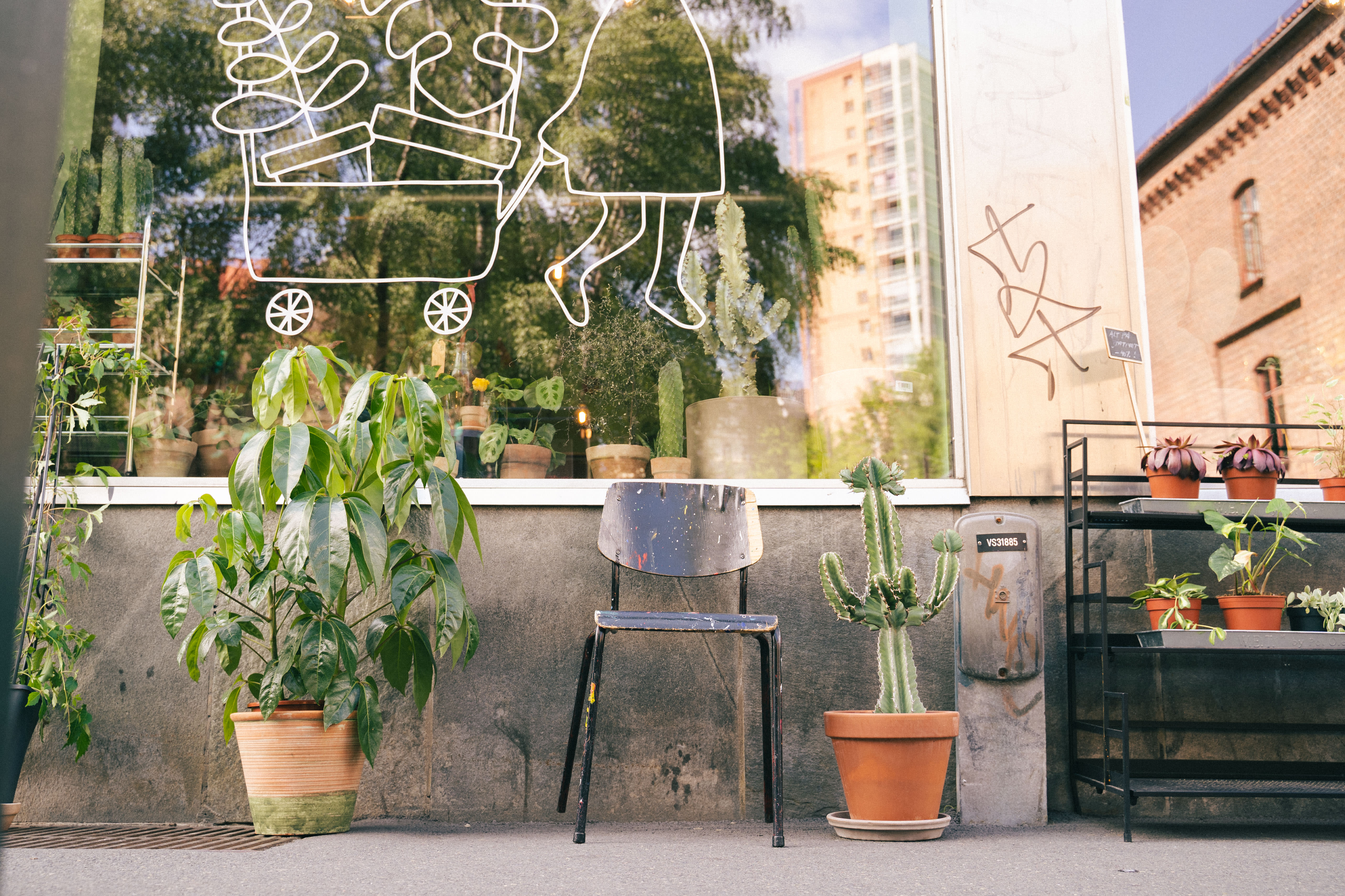 Hva kan man gjøre på Grønland? Her er 12 ting å finne på