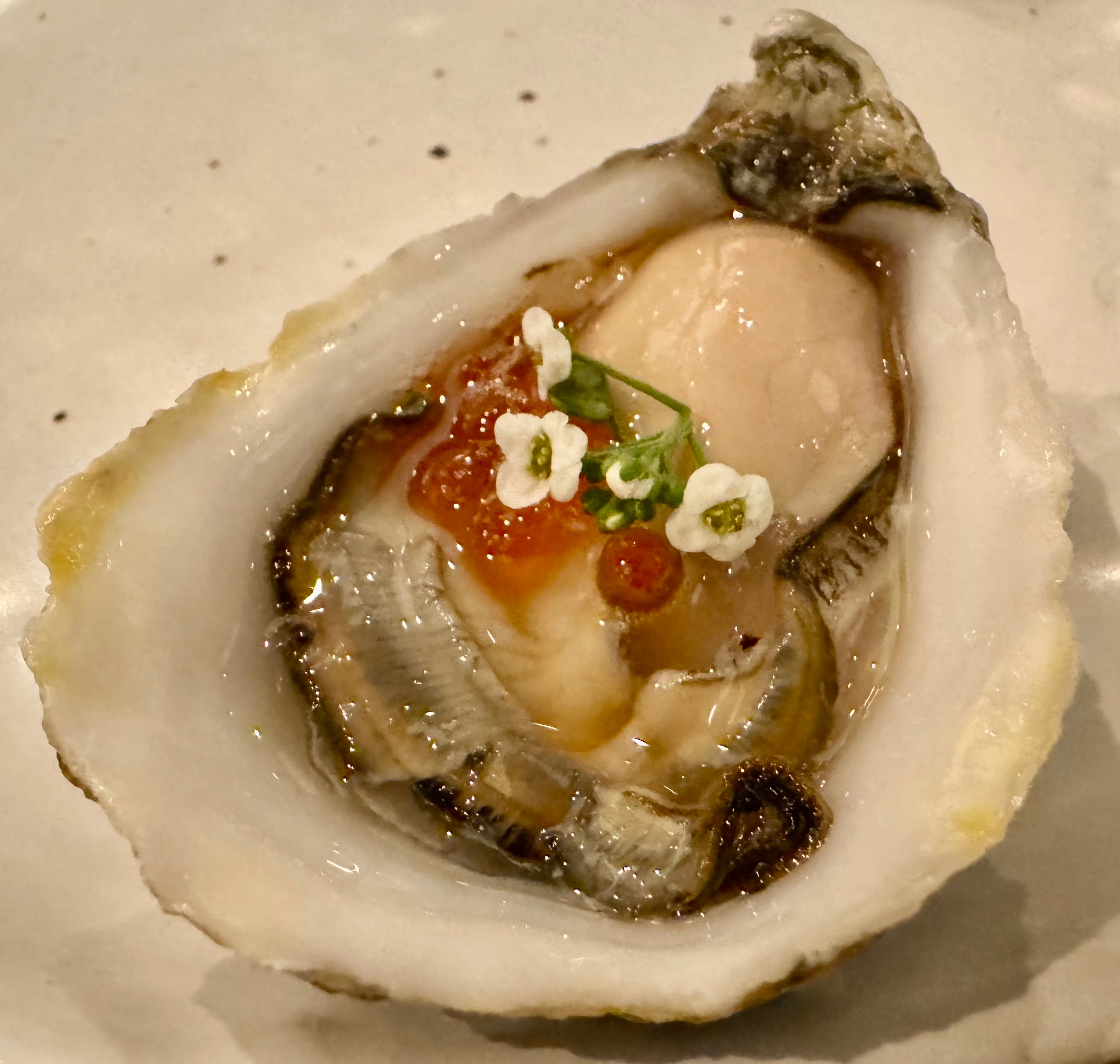 Årets hittil beste nye restauranter