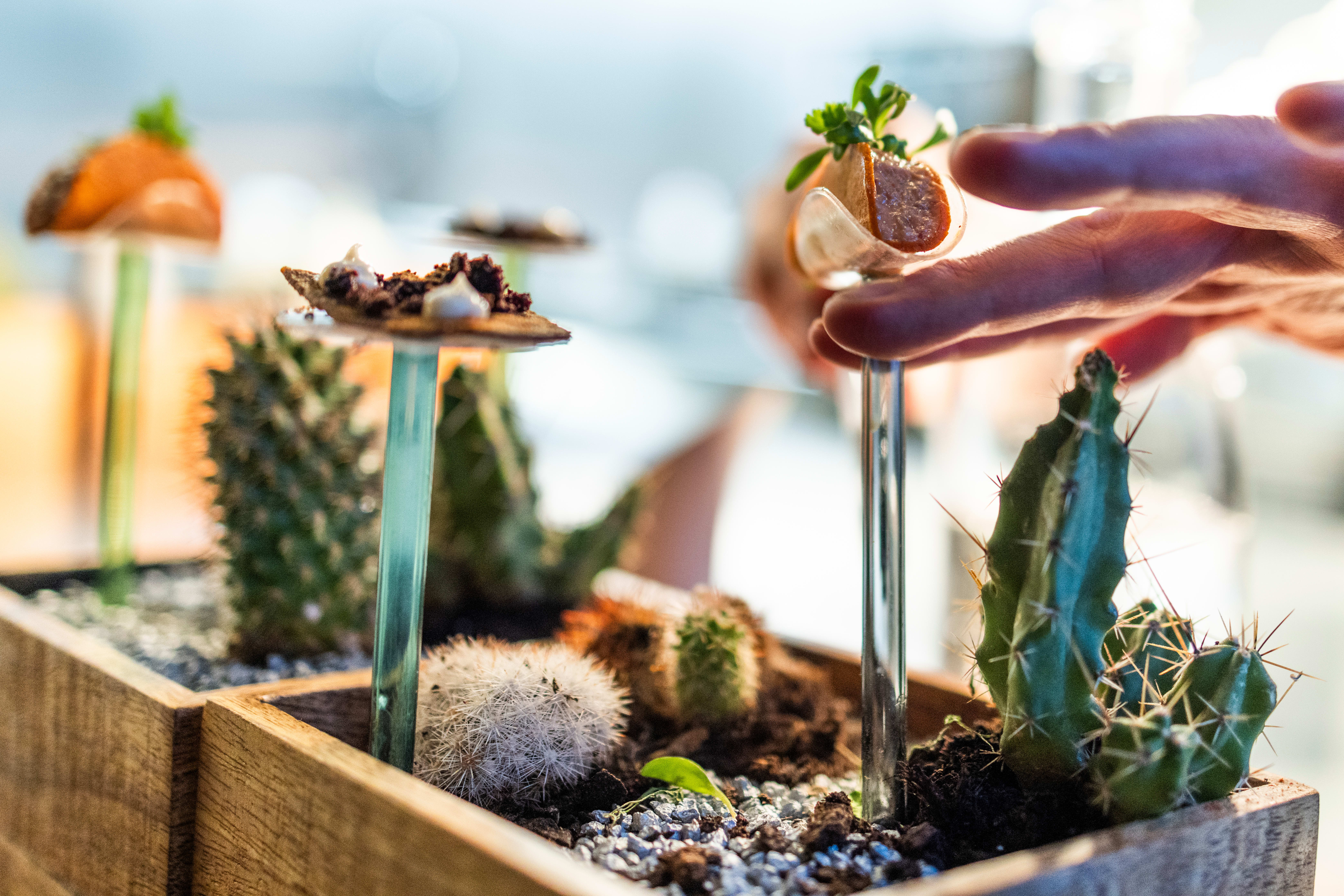 34 Oslo-restauranter med i Michelin-guiden 2024