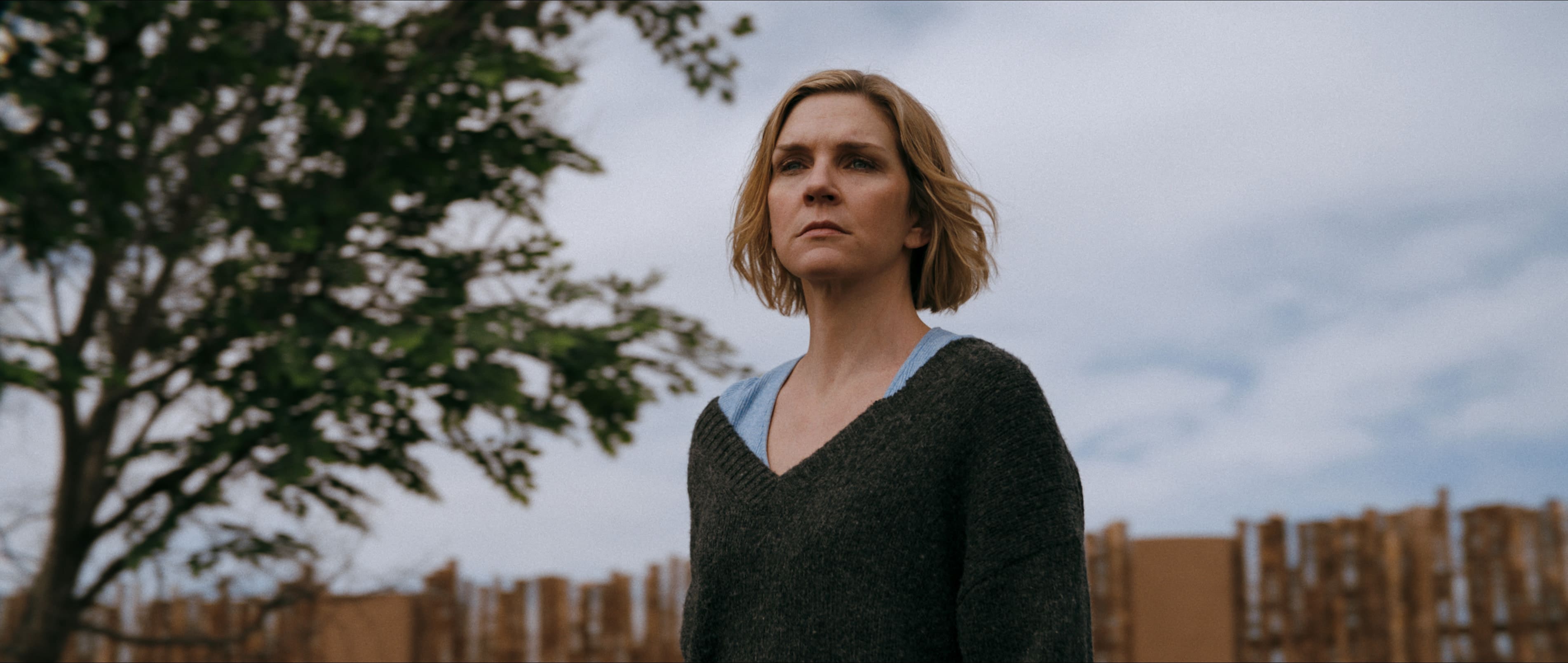 Rhea Seehorn spiller Carol, kvinnen som er immun.