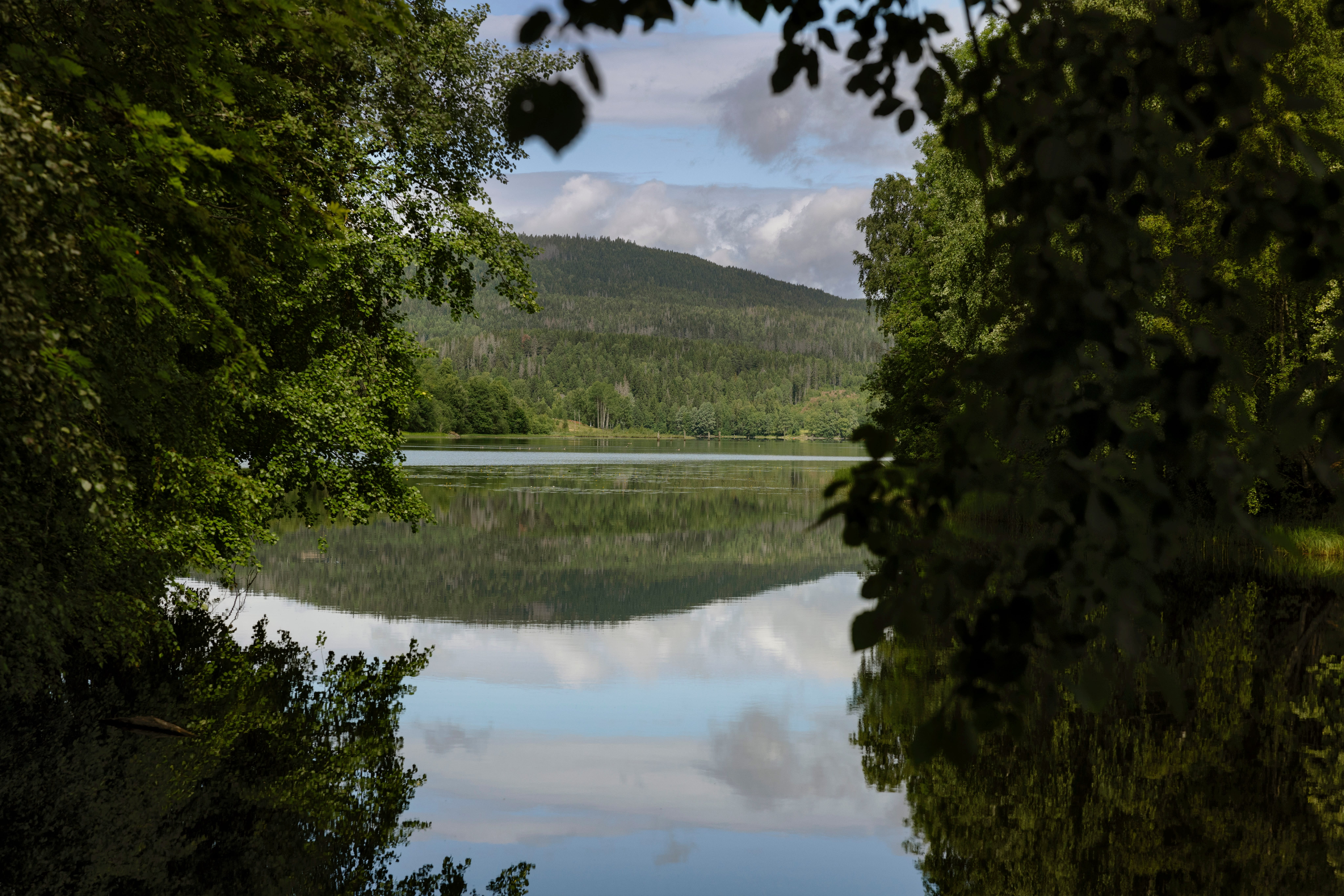 En kort tur med T-bane og buss, så er du ved Bogstadvannet.