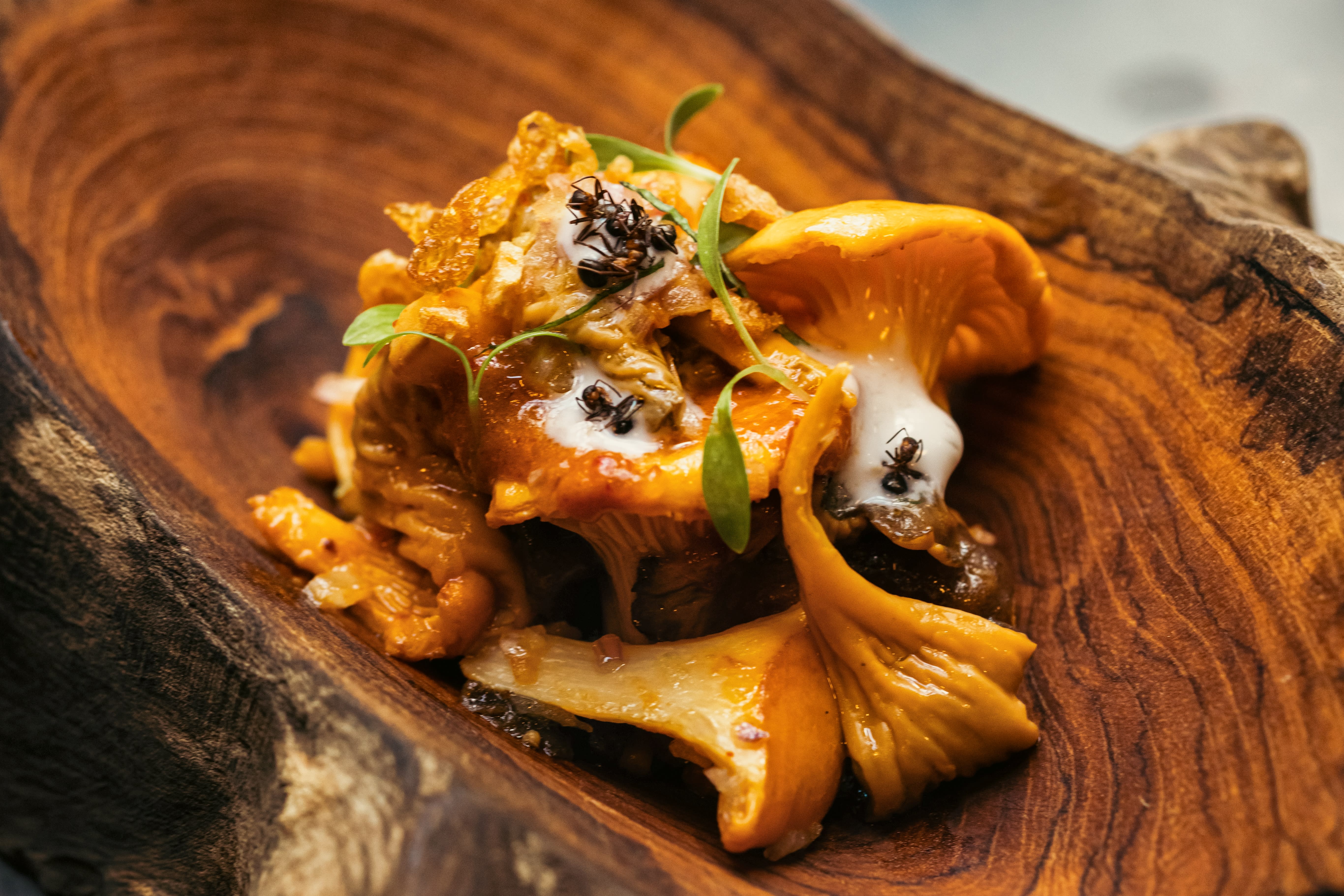 Maurene har inntatt Plah. 