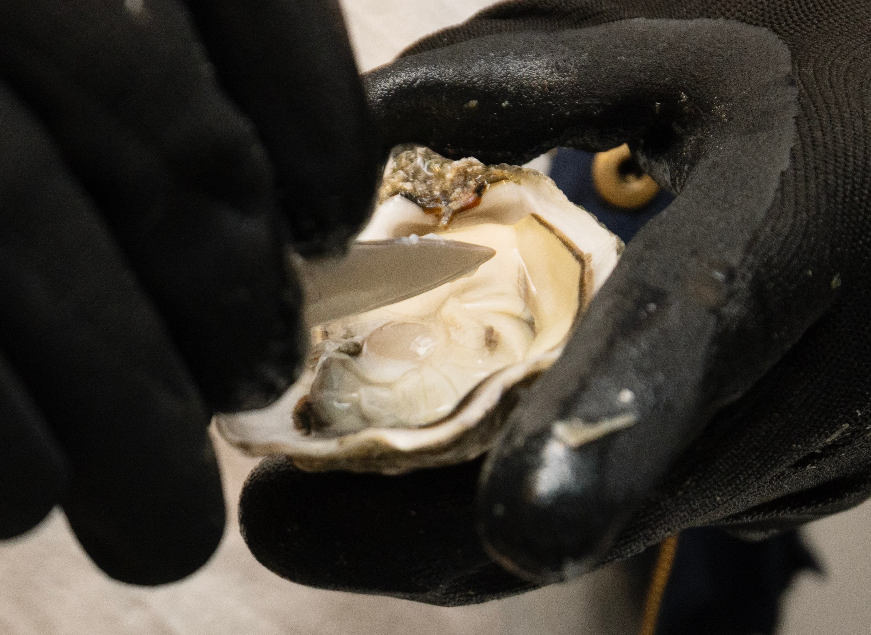 En Utah Beach-østers åpnes på Eff Eff på Fredensborg.