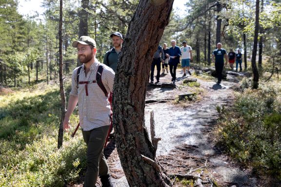 Oslo kan få en ny nasjonalpark. Rapport viser hva dette kan bety for bruken av skogen.