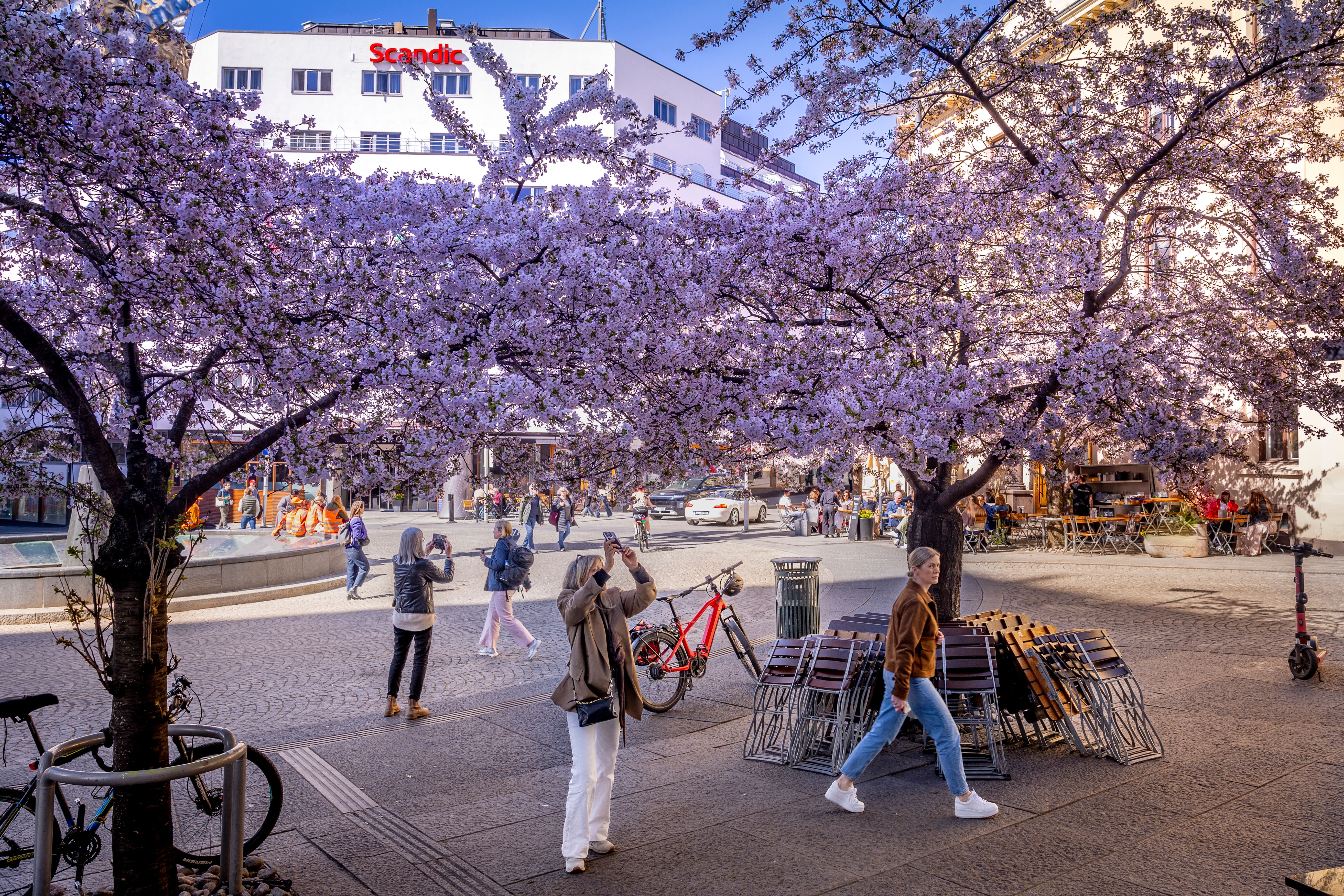 Løp! Akkurat nå er denne plassen på sitt vakreste.