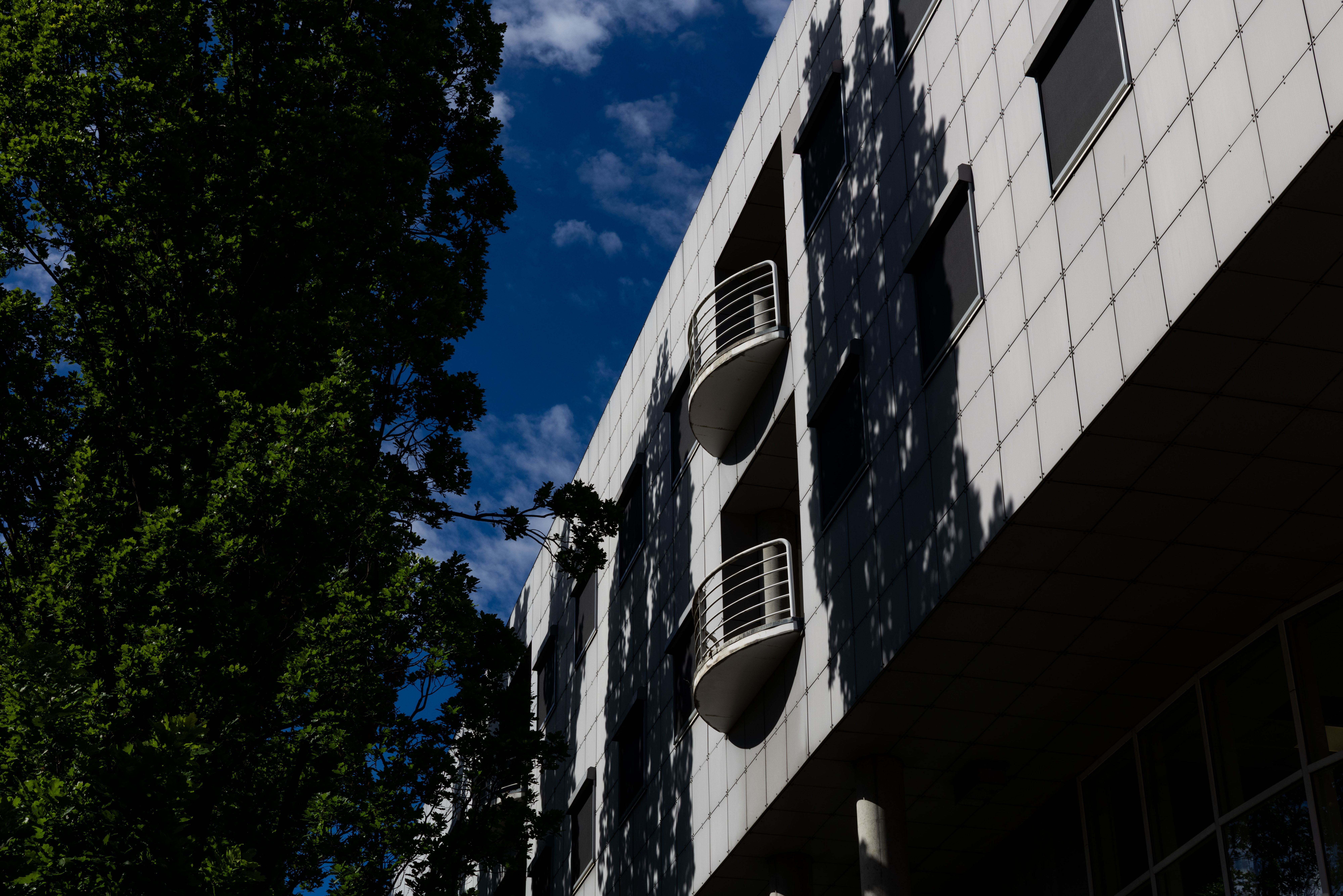 Du vil ikke tro hva Galleri Oslo en gang i tiden skulle bli