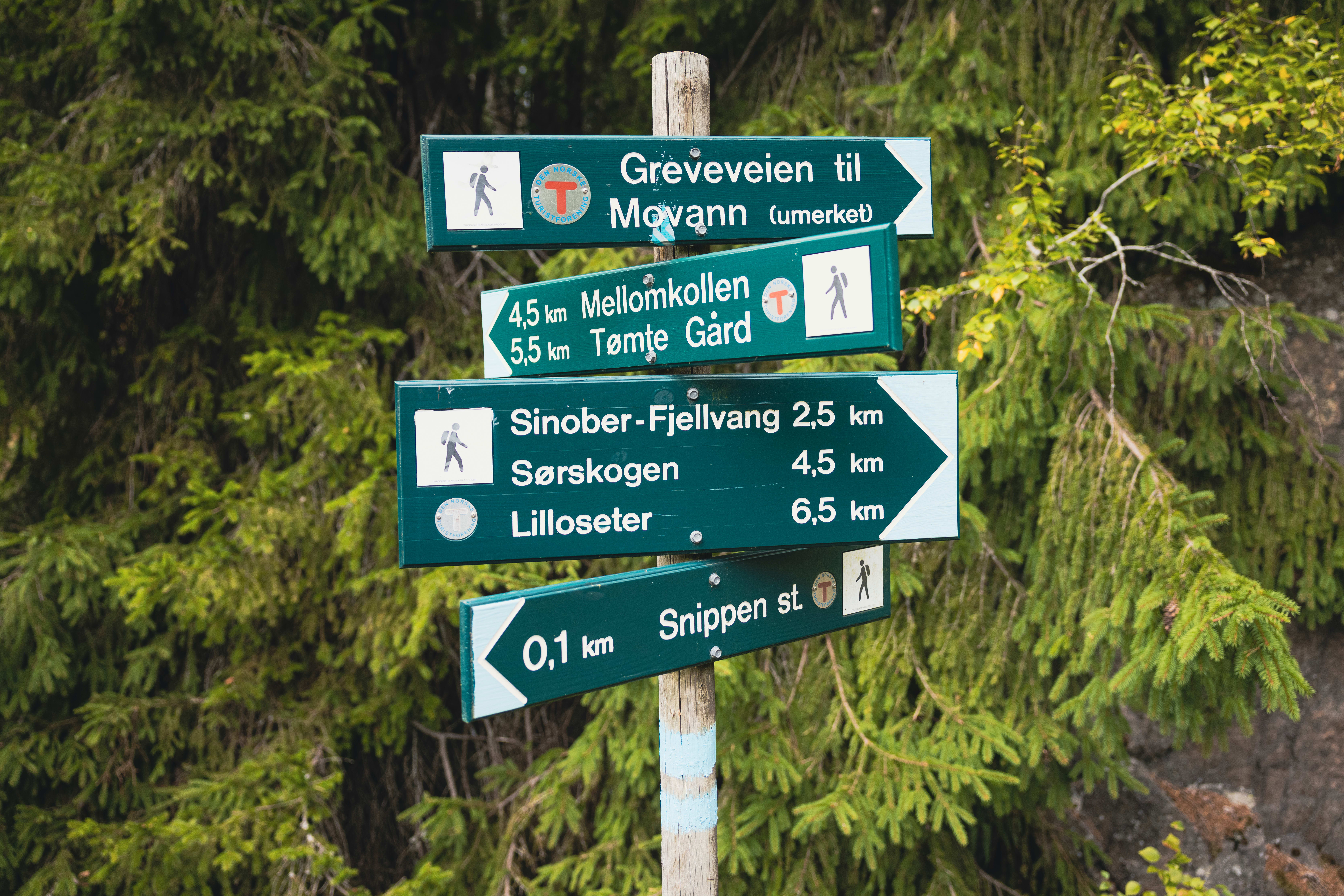 Valget er ditt, men ikke gå deg bort.