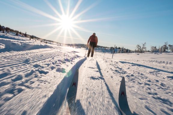 Fem fine, lette skiturer i Oslo 