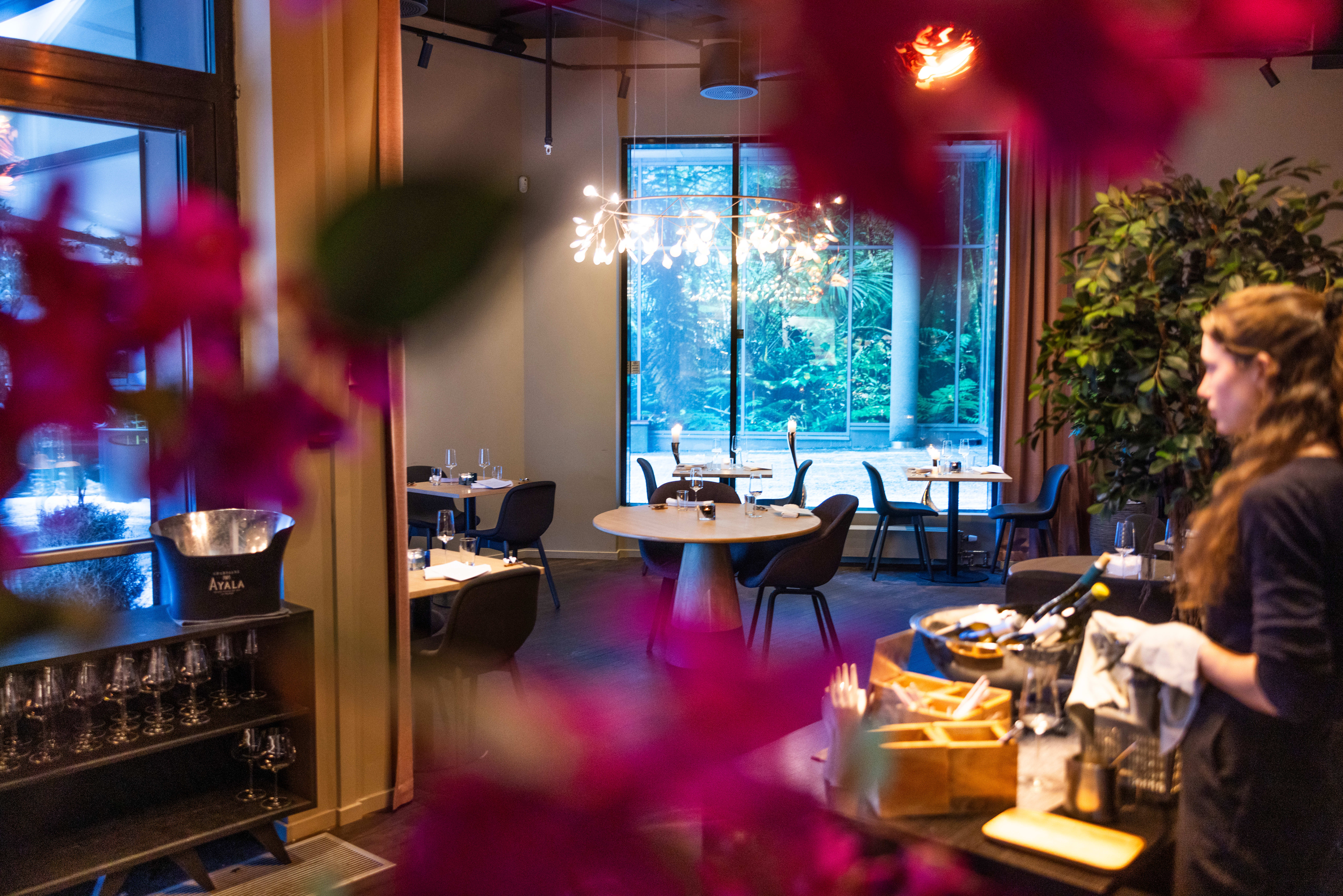 Intimt og fargerikt lokale.