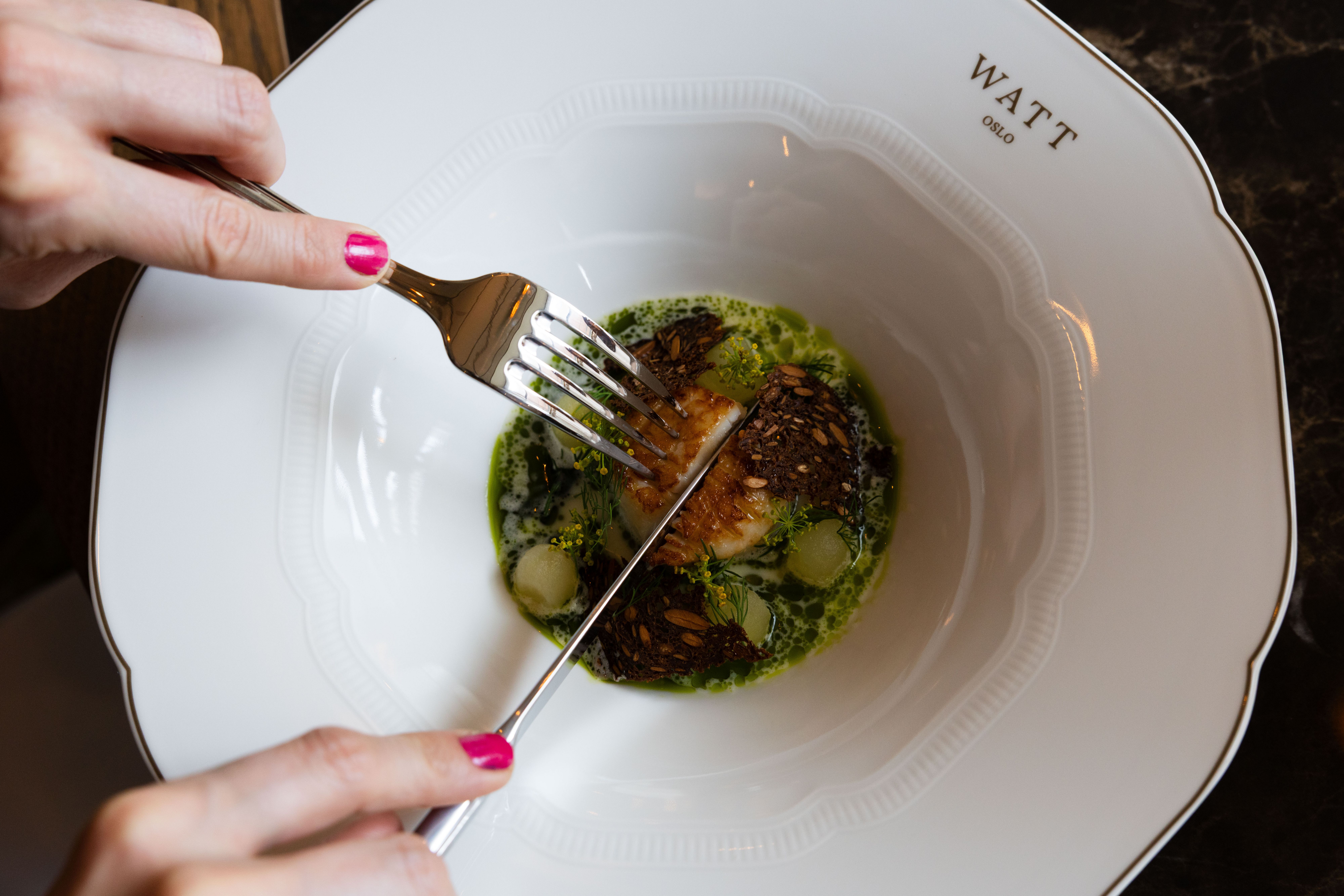 Årets beste nye restauranter