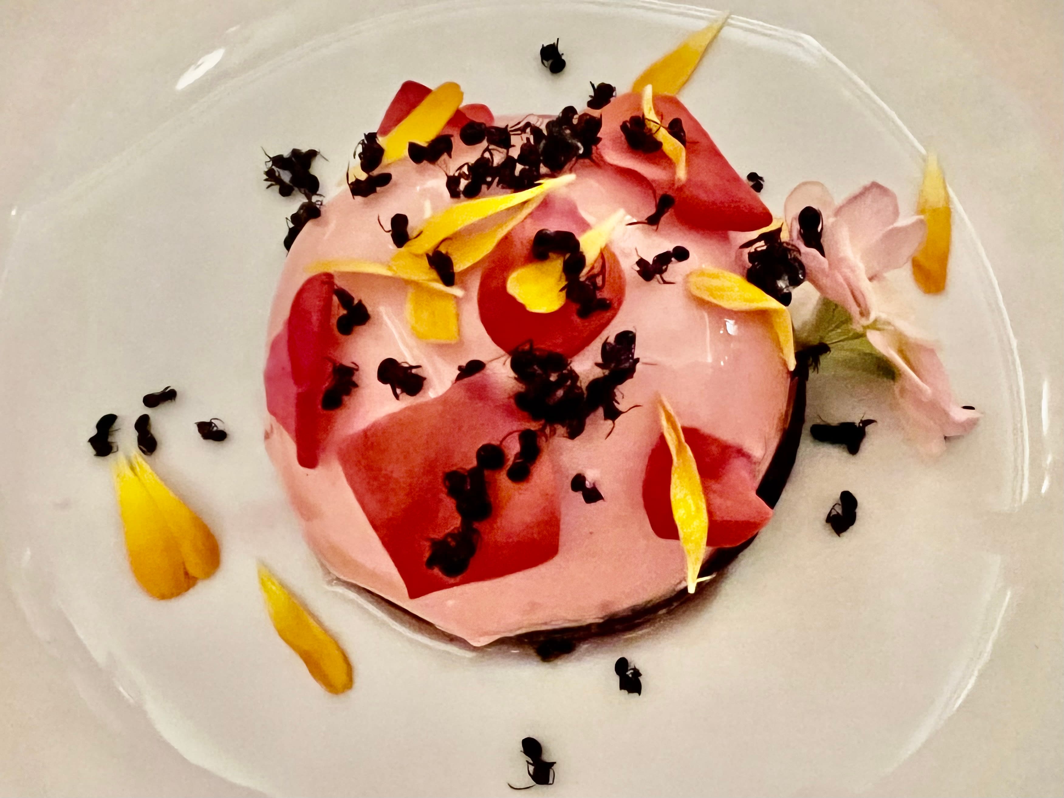 Maurinvasjon. Fargerikt, men ikke så vellykket. 