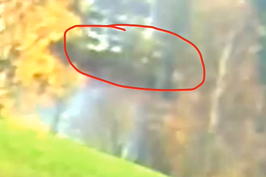 Politiet mener videoen viser en bil som rygger inn til Hagen-parets bolig før forsvinningen