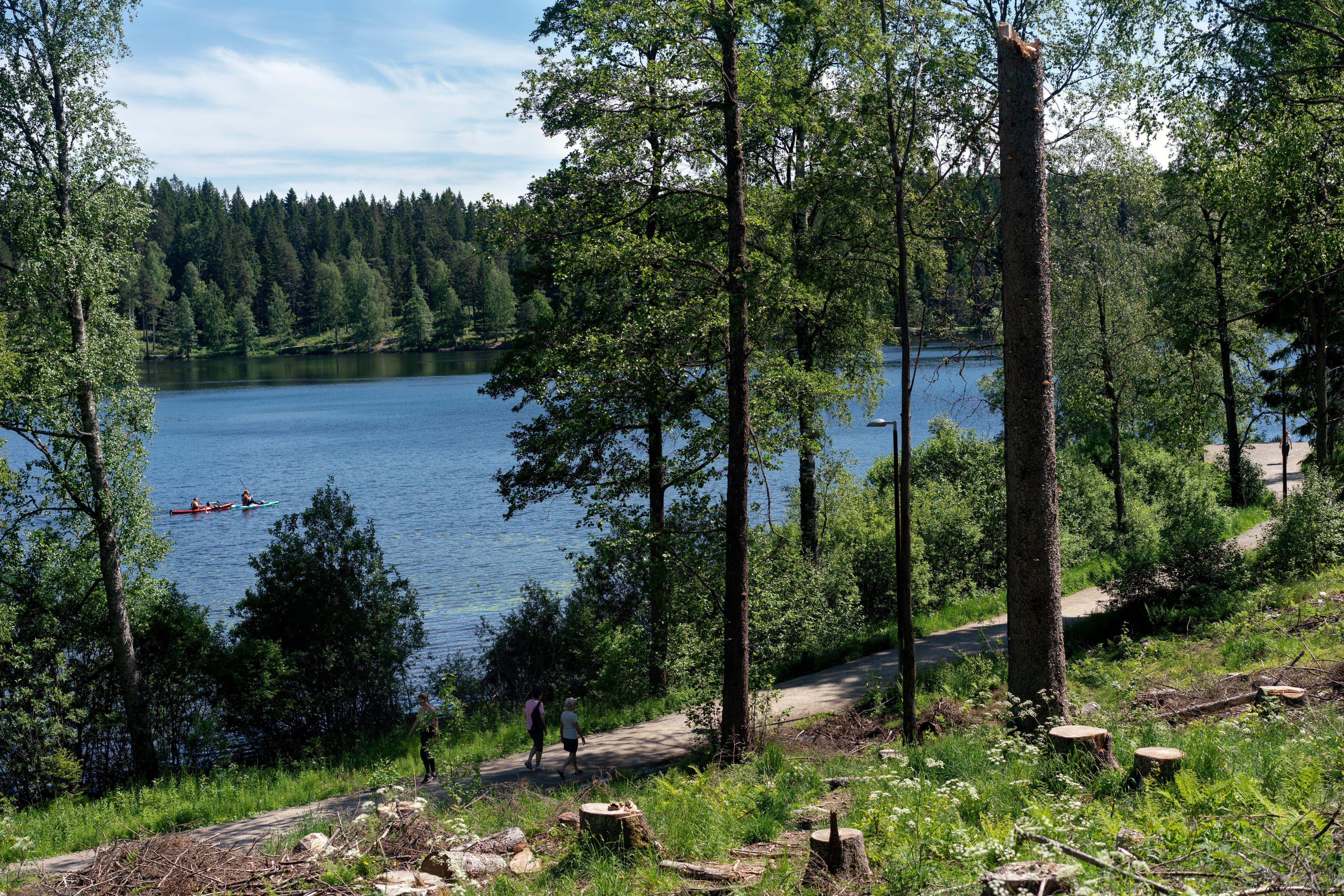 Sognsvann pleide tidligere å være en drikkevannskilde, nå er det en populær badeplass. 
