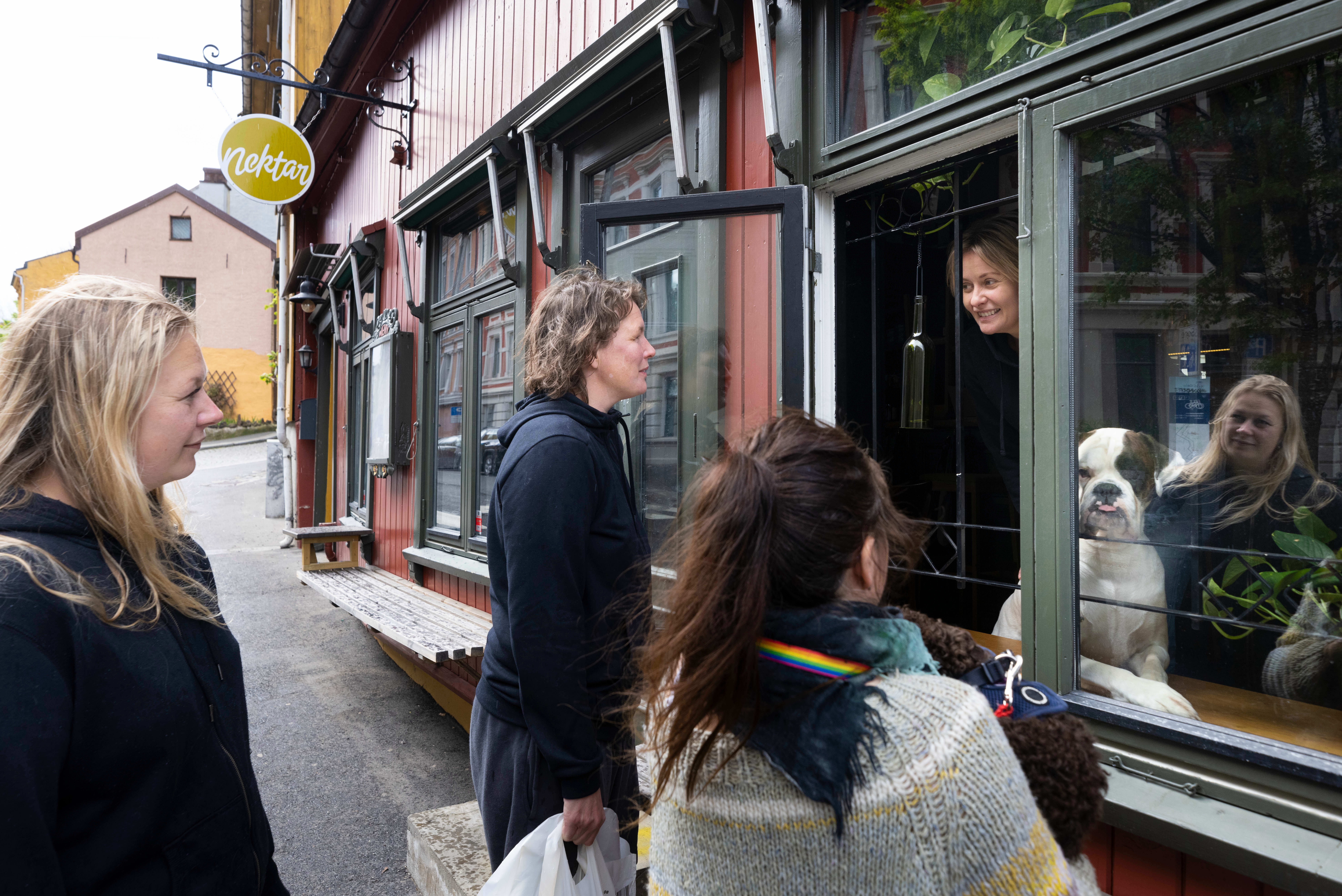 Bjeff, bjeff! 24 hundevennlige steder i Oslo