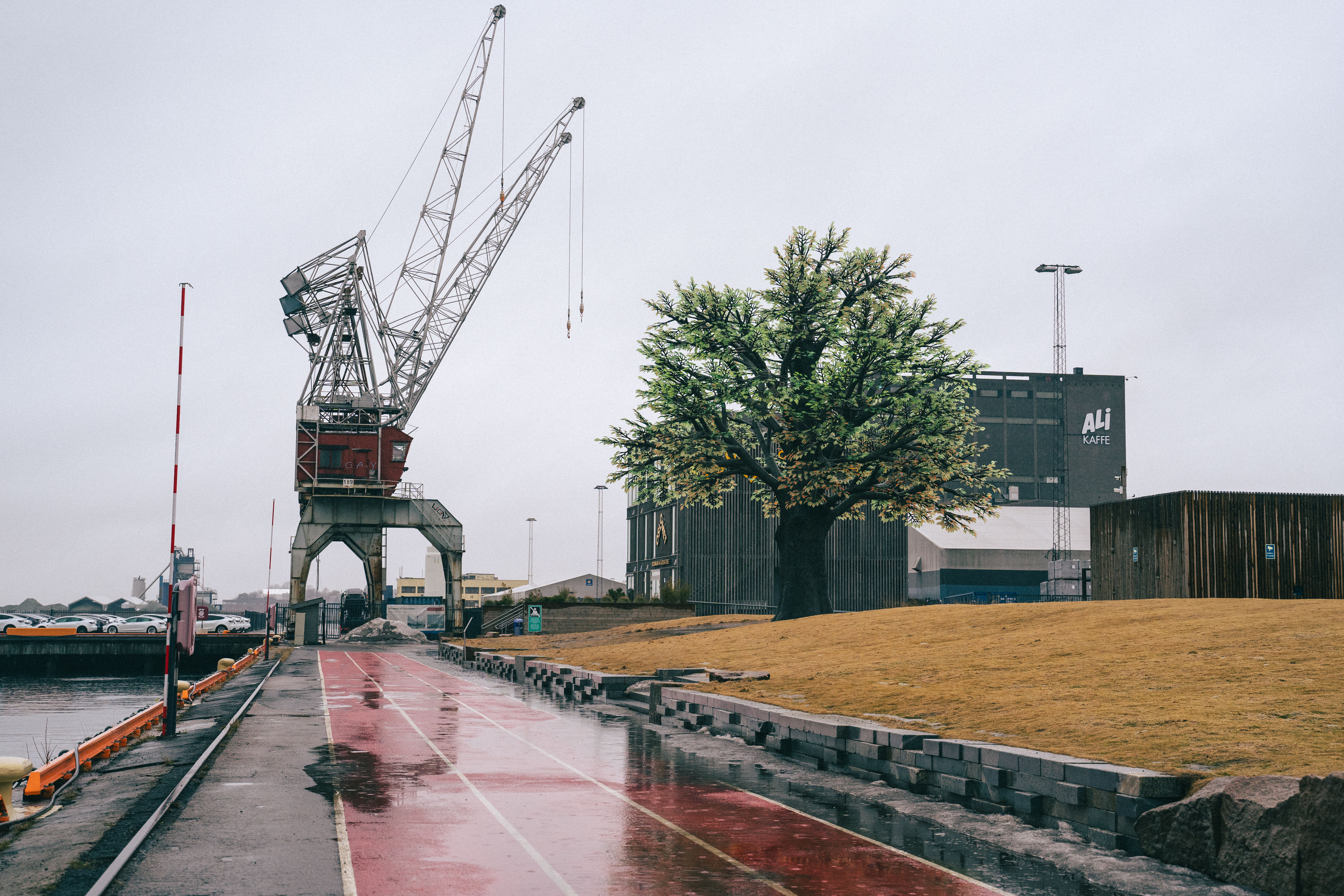 Herlige gråværsperler i sommerparadiset