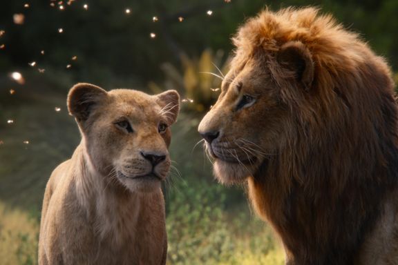 Hakuna matata for Disney: Publikum strømmer til «Løvenes Konge»