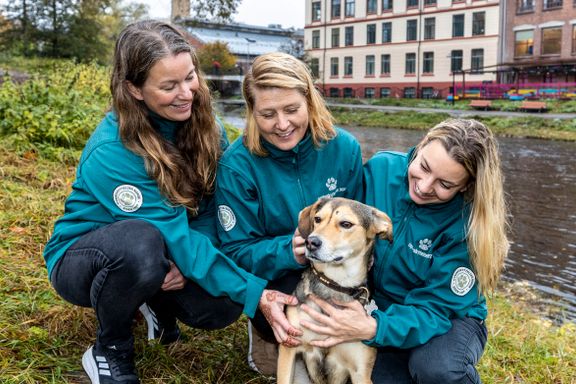 Åpner Norges første gratis dyreklinikk