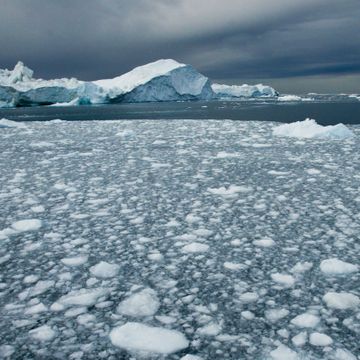 Rekordlite is i Arktis