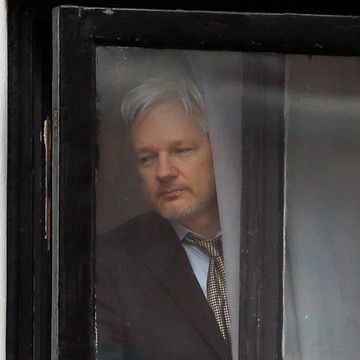 Assanges påstander avvist av domstol