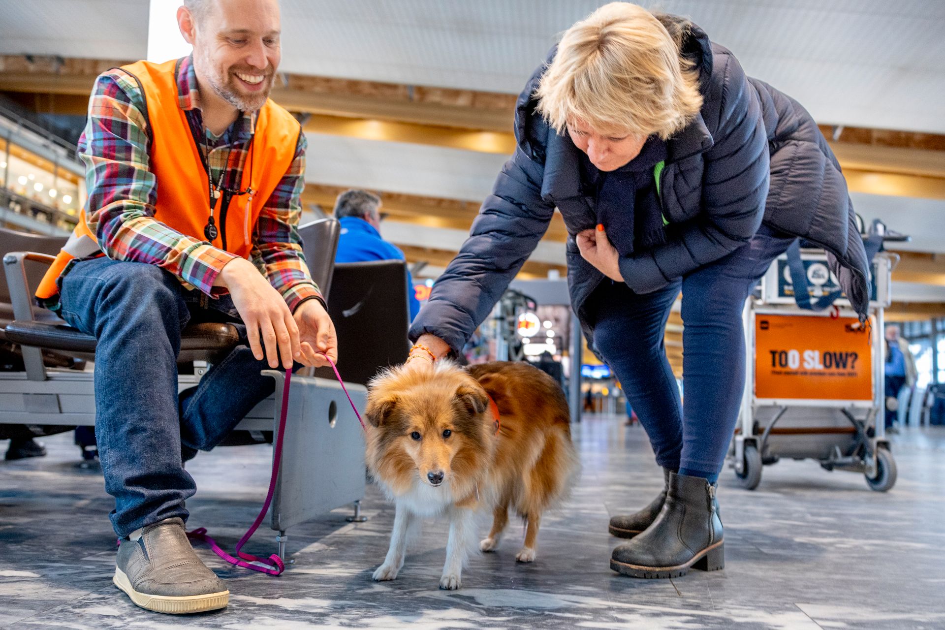En kvinne bøyer seg ned og klapper en hund på en flyplass, mens en mann holder hunden i bånd og smiler