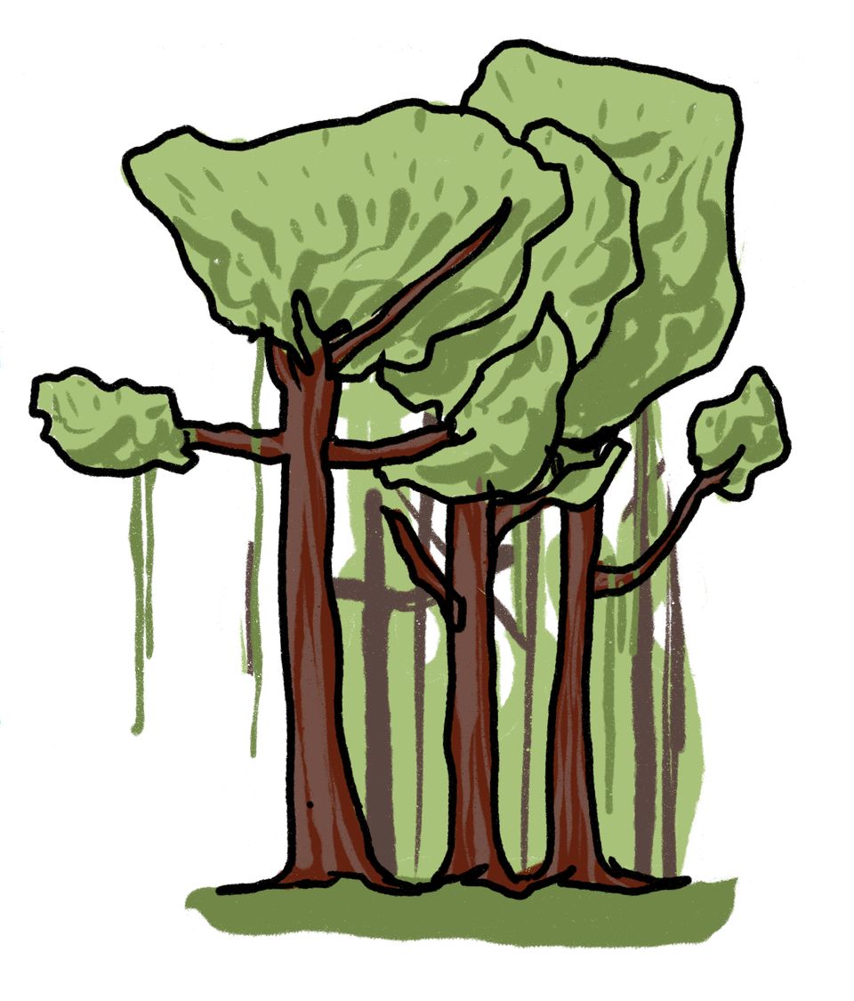 En tegning viser tre høye trær med grønne blader.