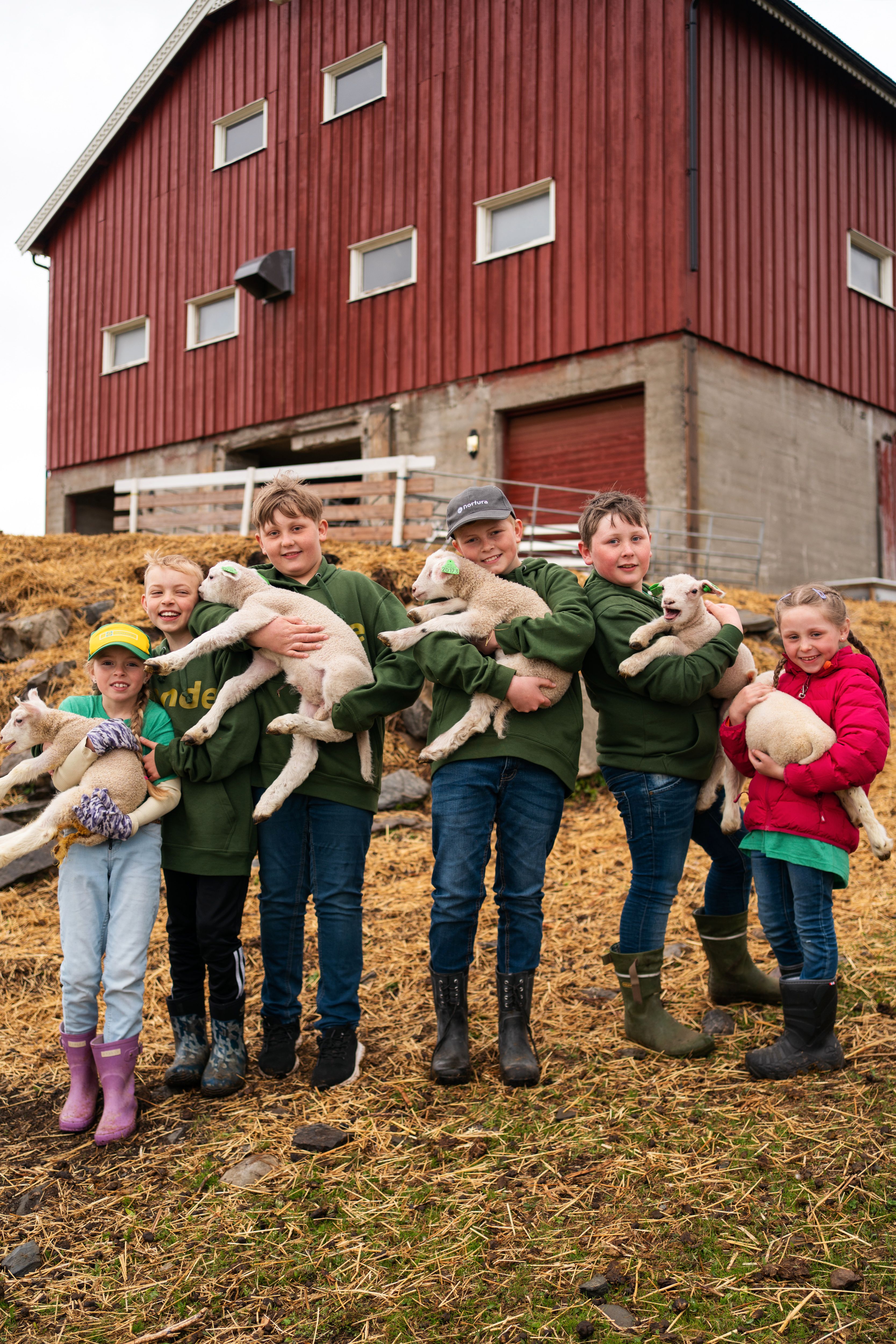 Bønder Ber Om Rekordmye Penger - Aftenposten Junior Skole