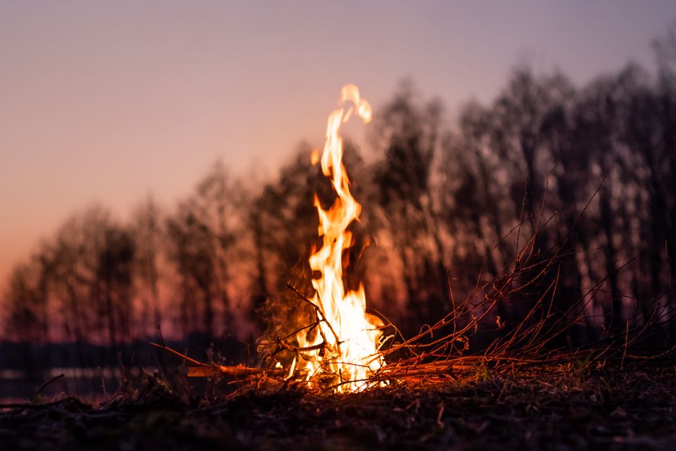 Et bål brenner med høye, lysegule flammer i et skogsområde mens himmelen er lilla og rød av solnedgangen.