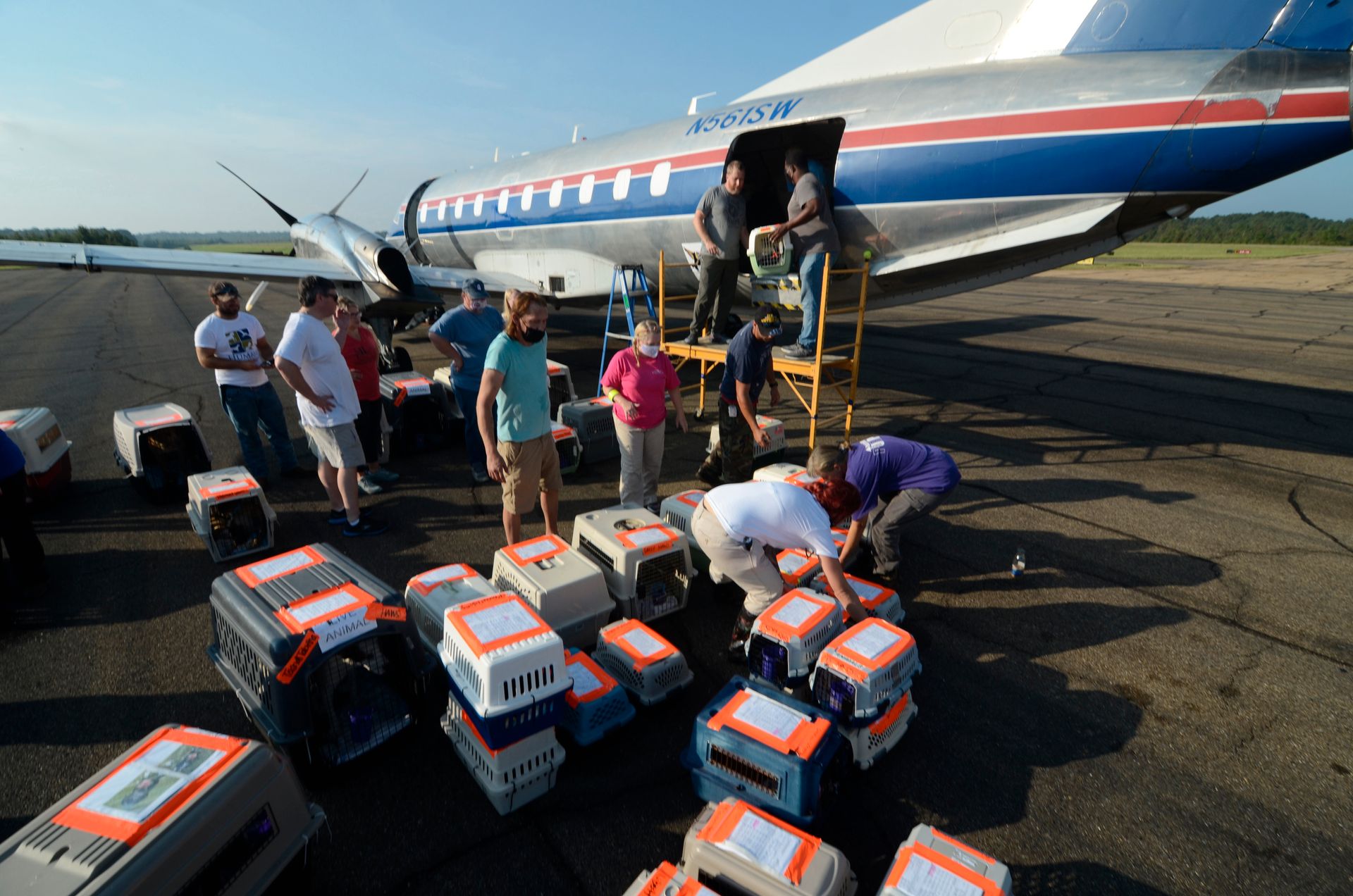 En gruppe mennesker løfter hunde-transportbur med oransje teip opp fra bakken og inn i lasterommet på et fly. 