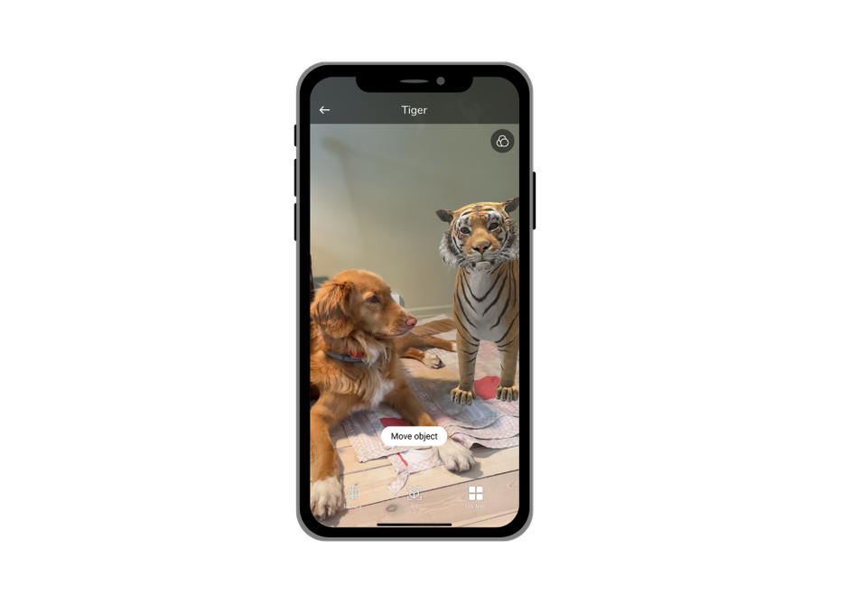Et skjermdump viser at den animerte tigeren står ute i et ekte rom ved siden av en liggende hund, sett gjennom mobilskjermen.